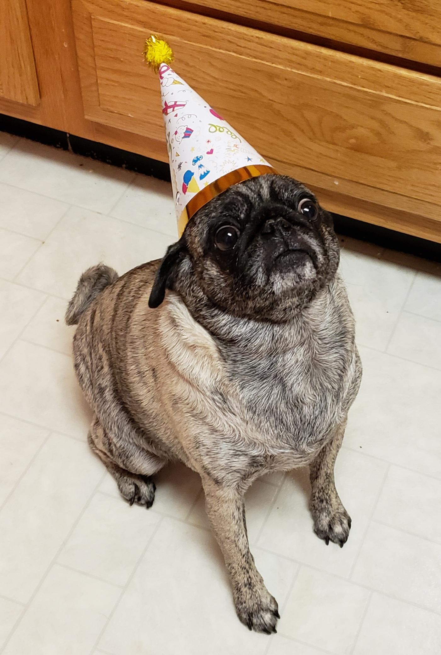 Yesterday was Jovie's birthday and she was excited for scrambled eggs