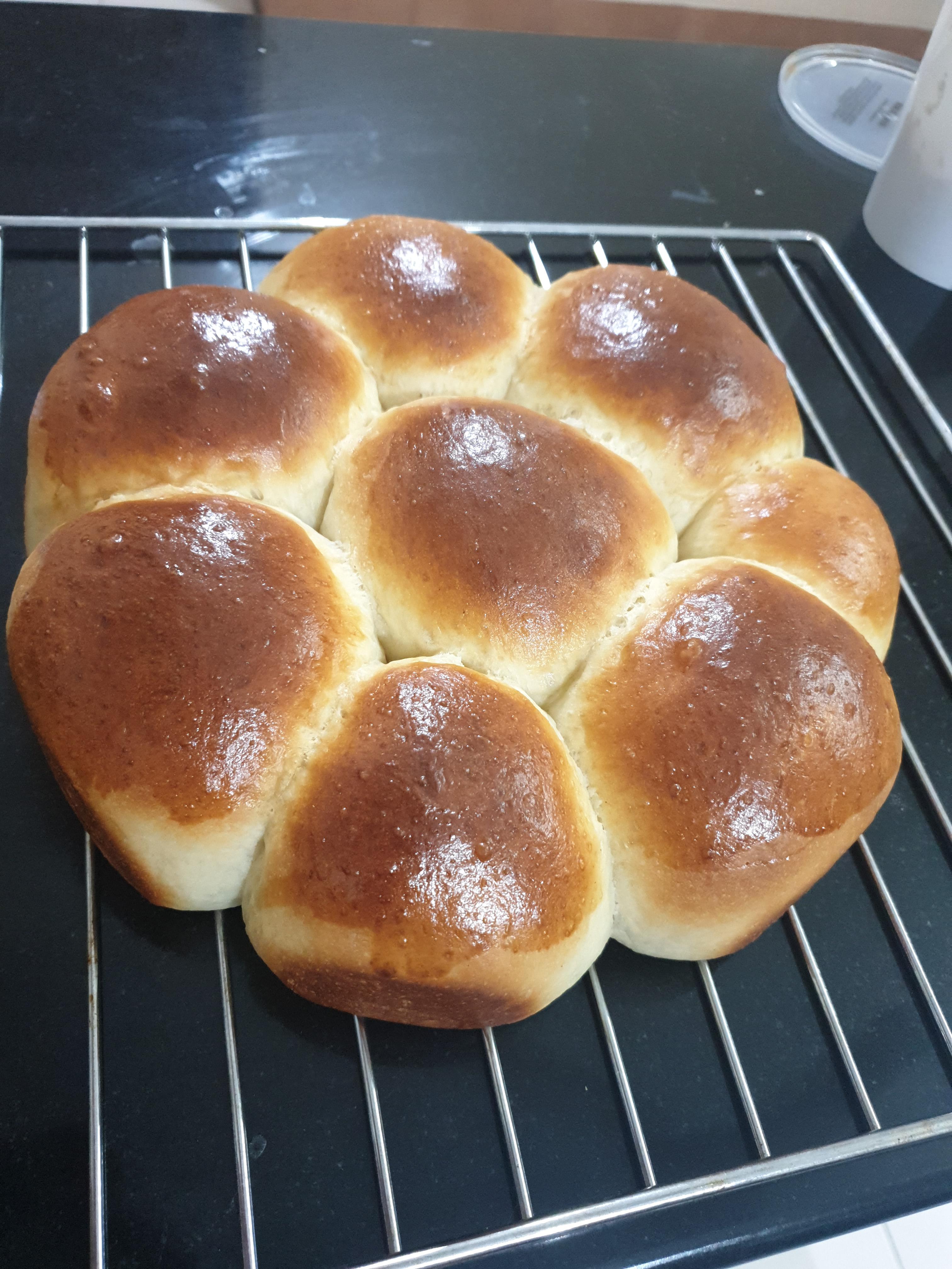 Japanese dinner rolls (King Authurs recipe) r/Breadit