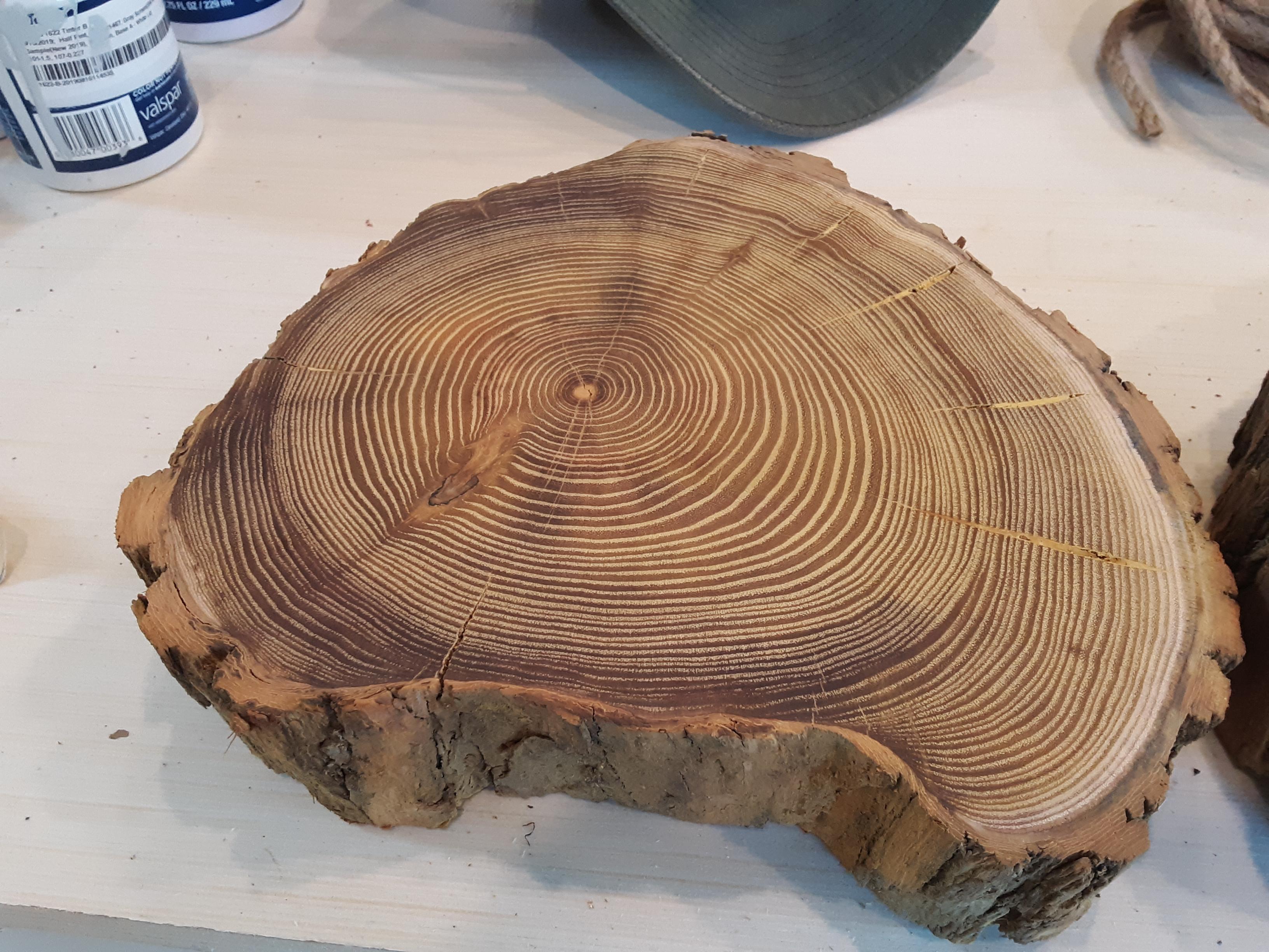 Cut this log slice, what kind of wood is it? r/wood
