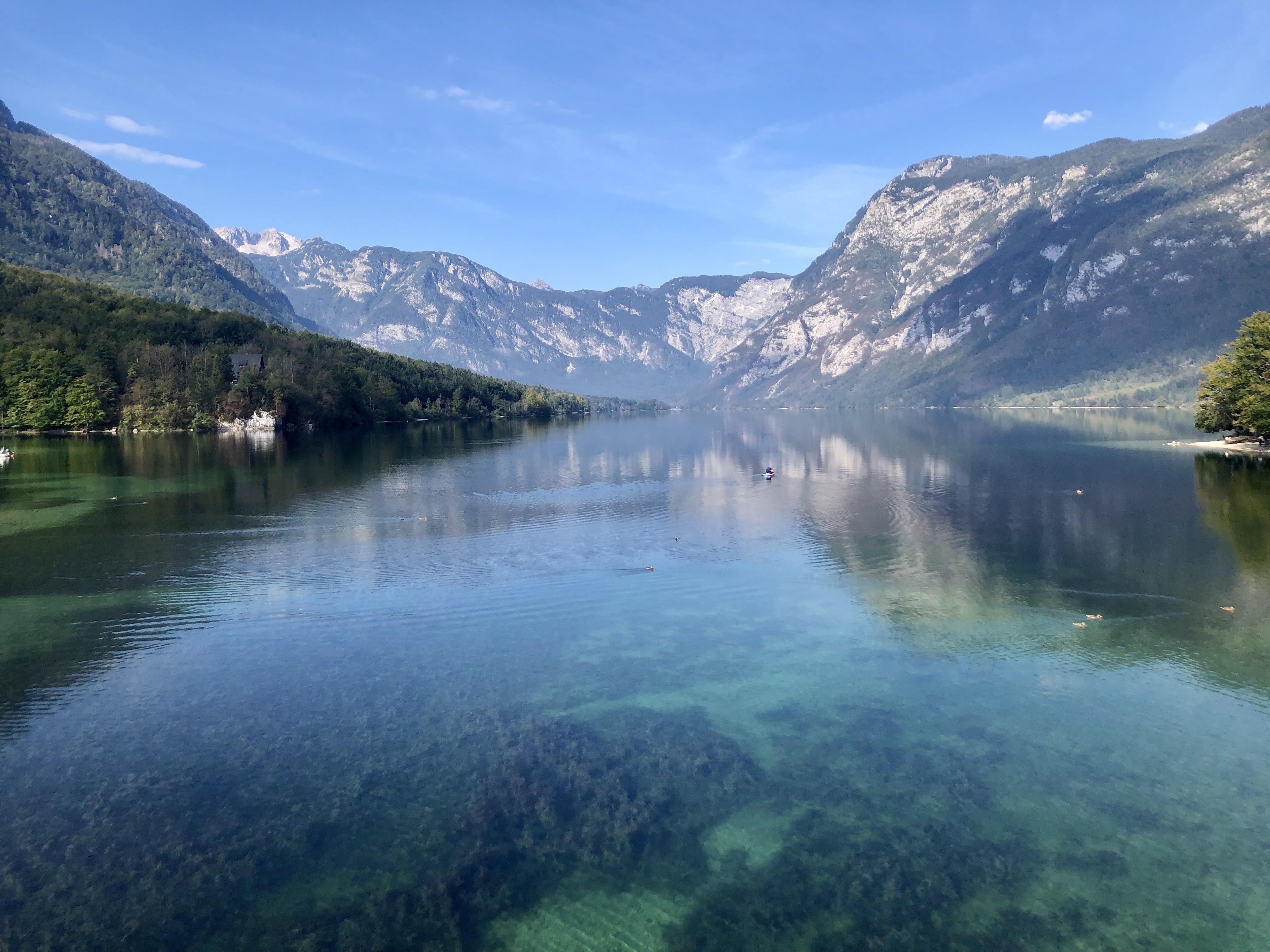 Lake Bohinj, Slovenia. Such an unbelievably beautiful country. r/travel