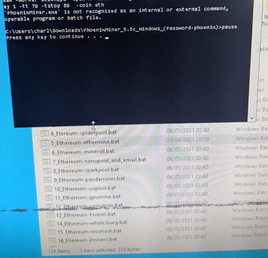 Anyone experienced this with Phoenix Miner before? If so how did you