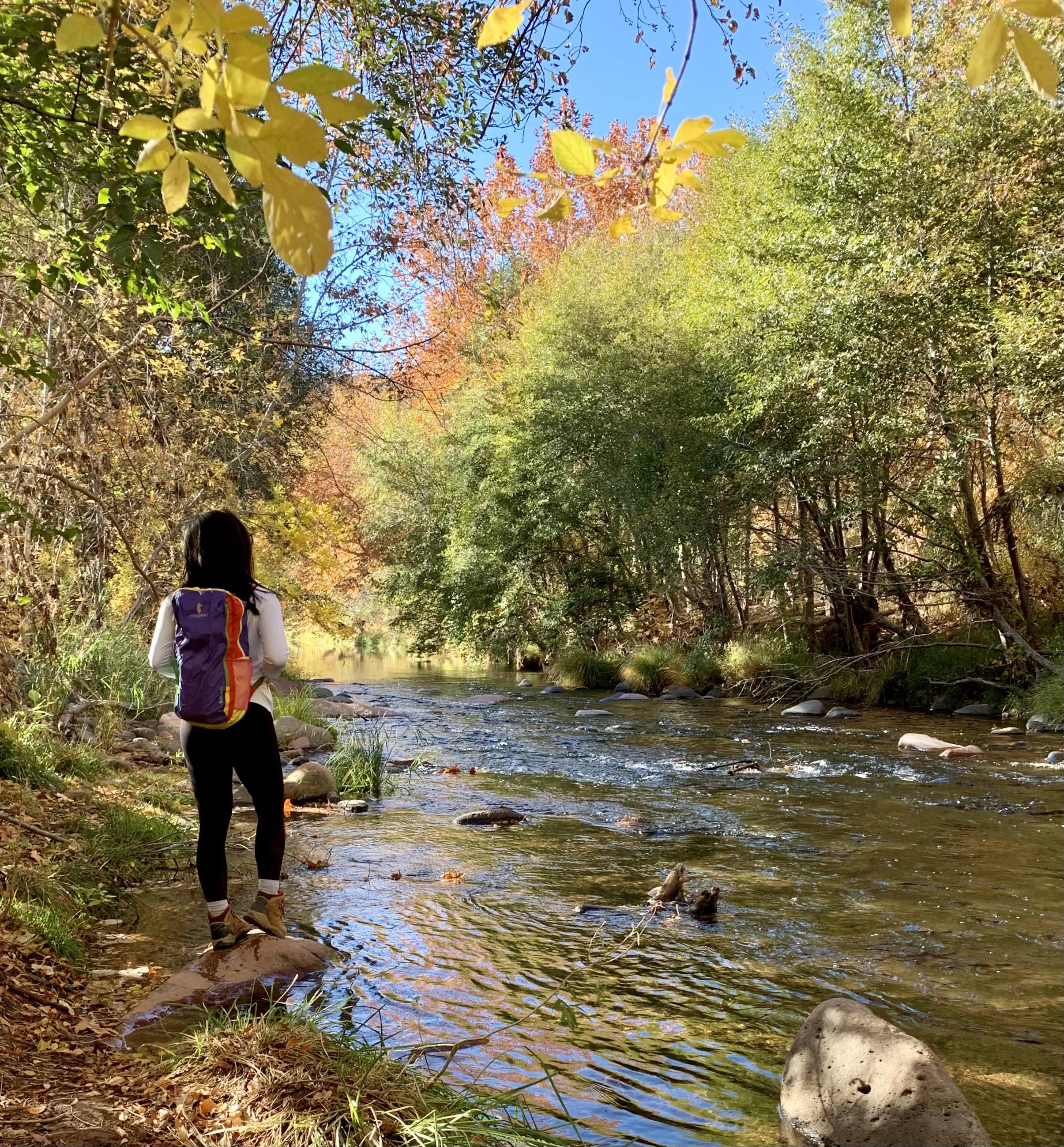 Oak Creek Canyon, Sedona, AZ r/hiking