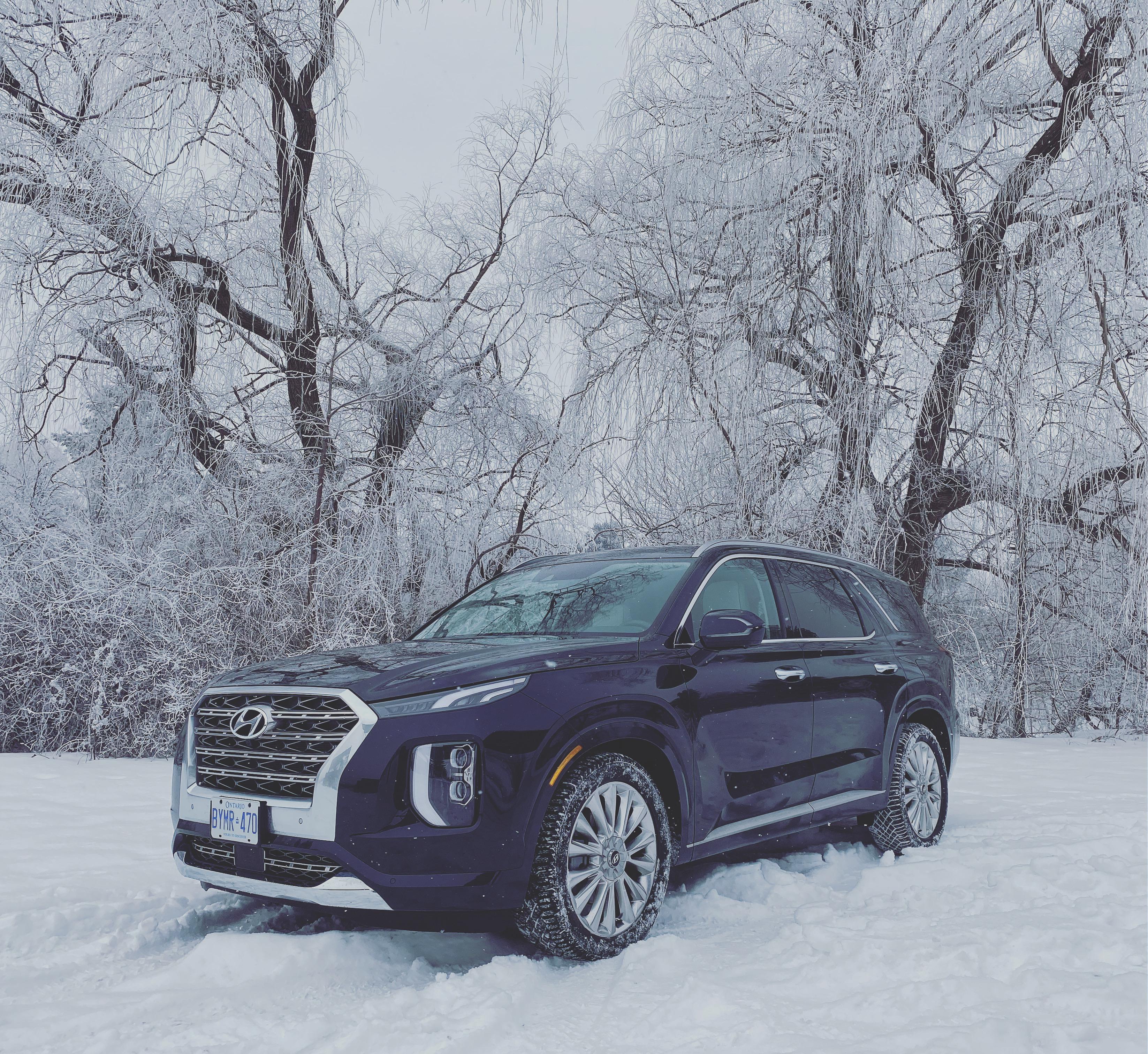 Our family review of the Hyundai Palisade r/Hyundai