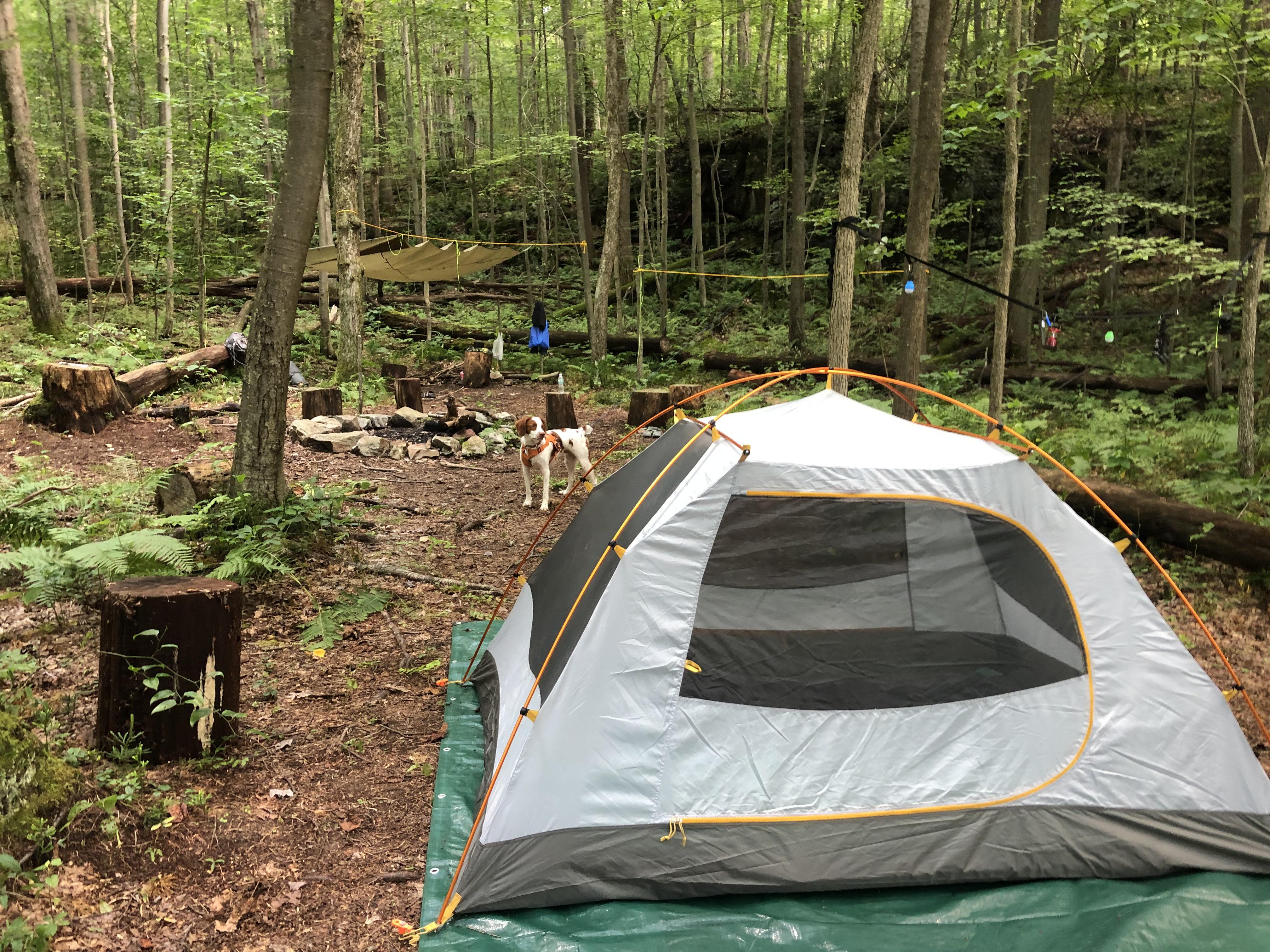 Bear Run Nature Reserve a noname place in PA along the Youghiogheny