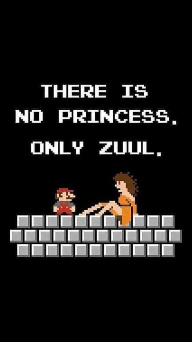 Save the princess memes
