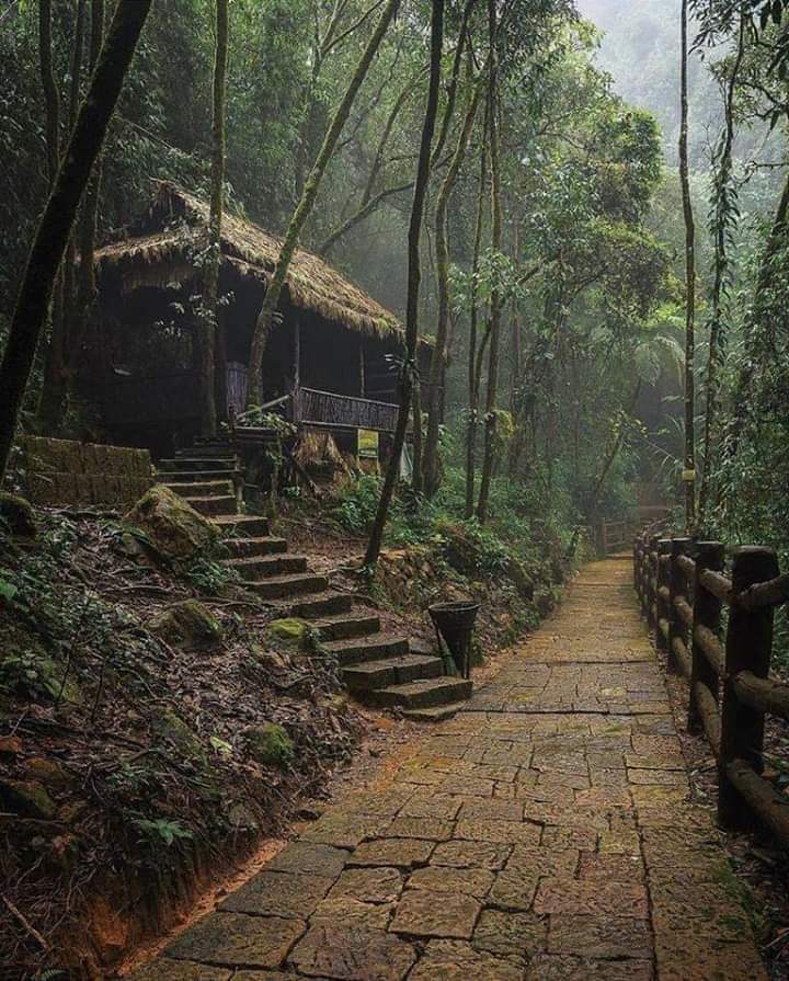 Village in Meghalaya,India!! r/pics