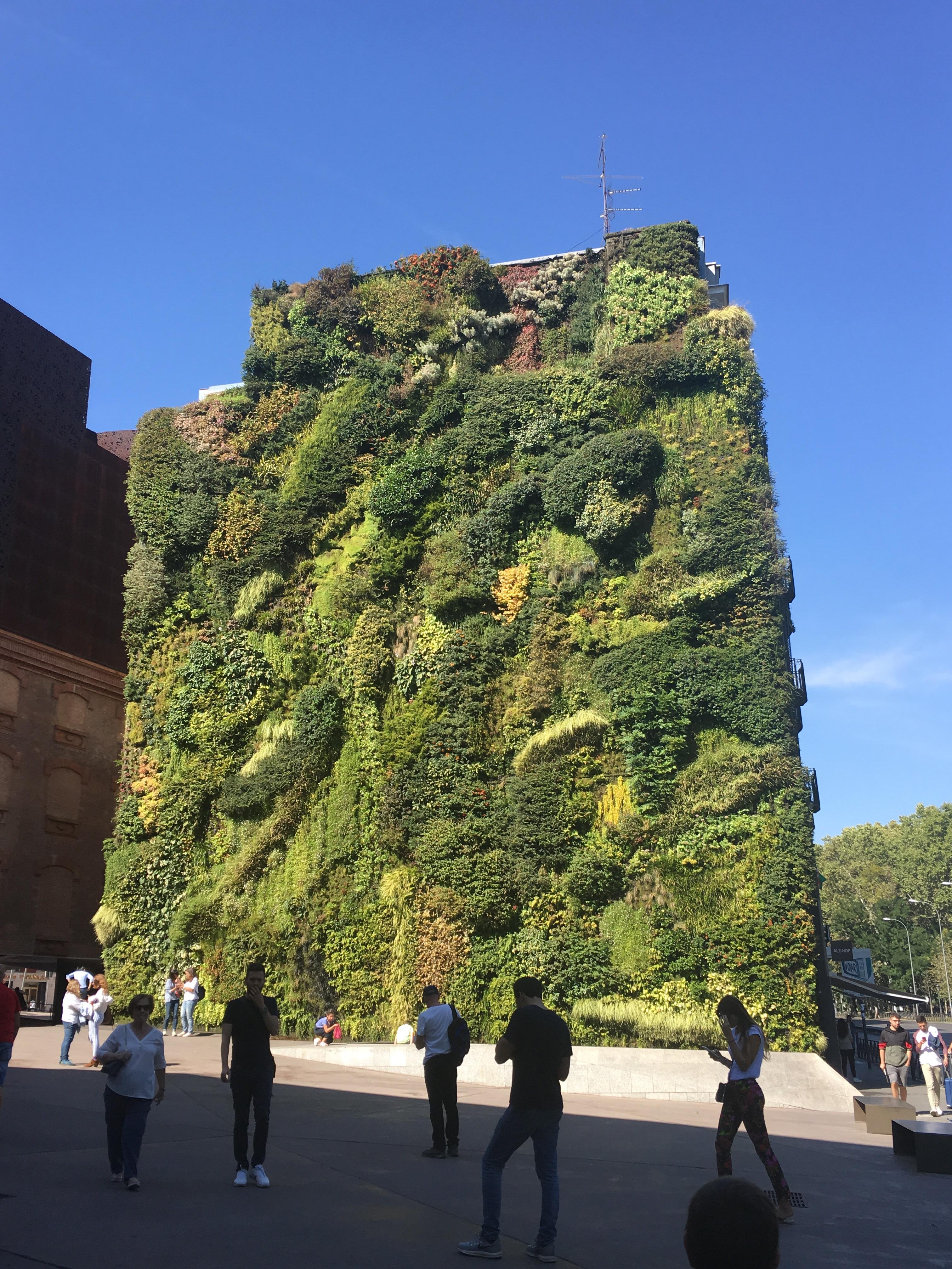 This living wall r/interestingasfuck