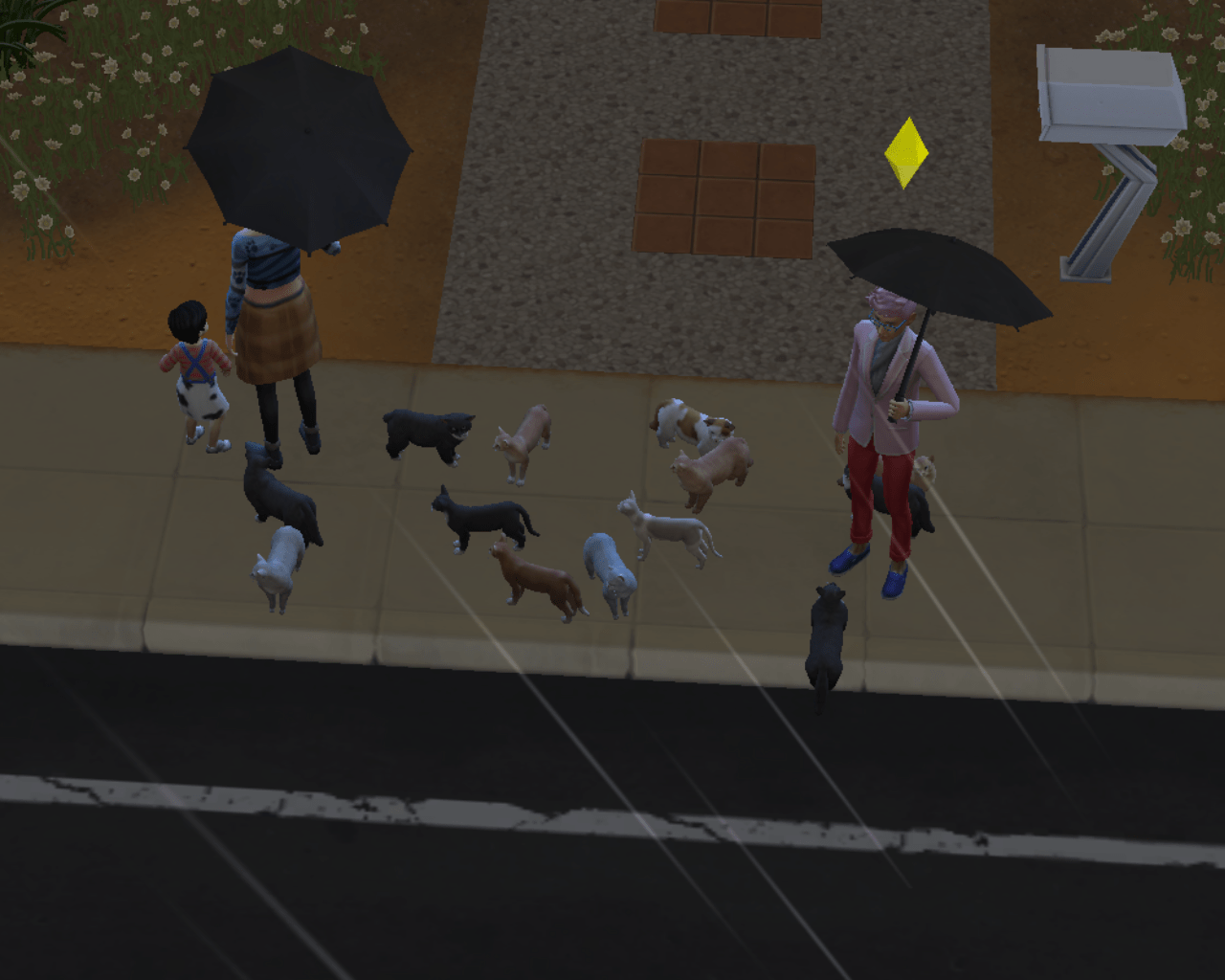 I have the max amount of sims in a household set to 20. Thats 13 cats