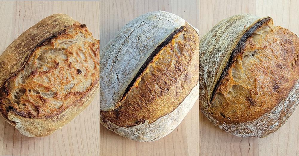 I experimented with freezing sourdough bread dough at different stages