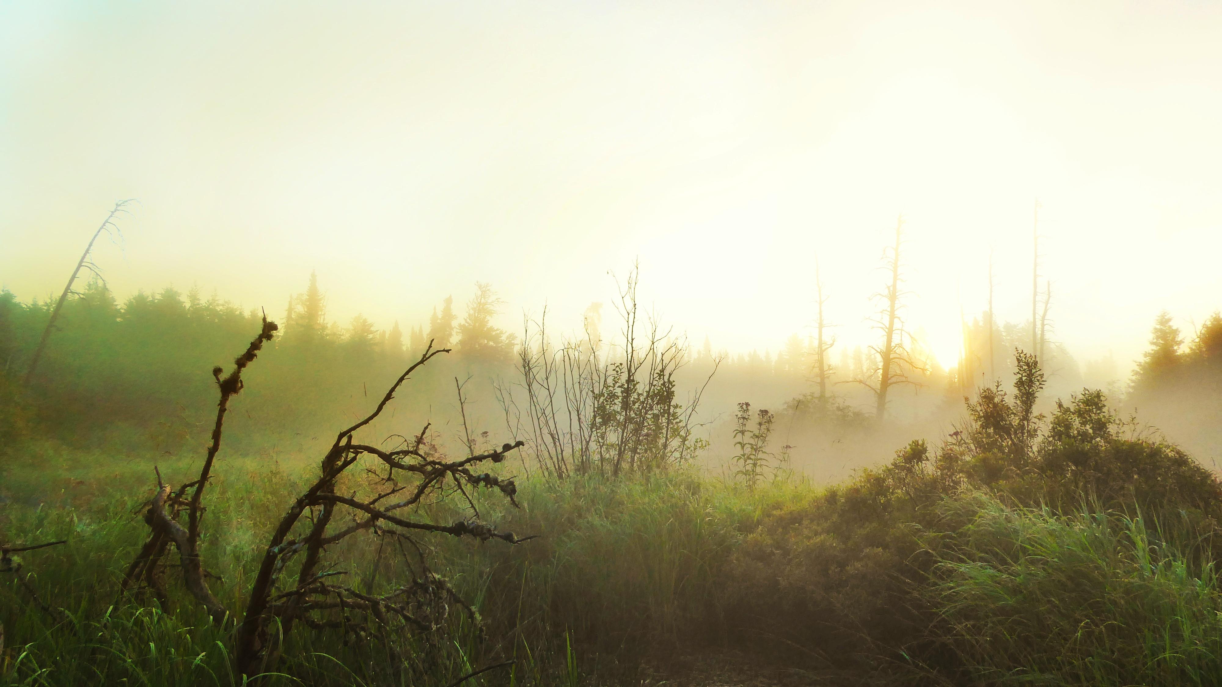 One of my best pictures to date. Ontario, Canada [4000x2249] r/pics