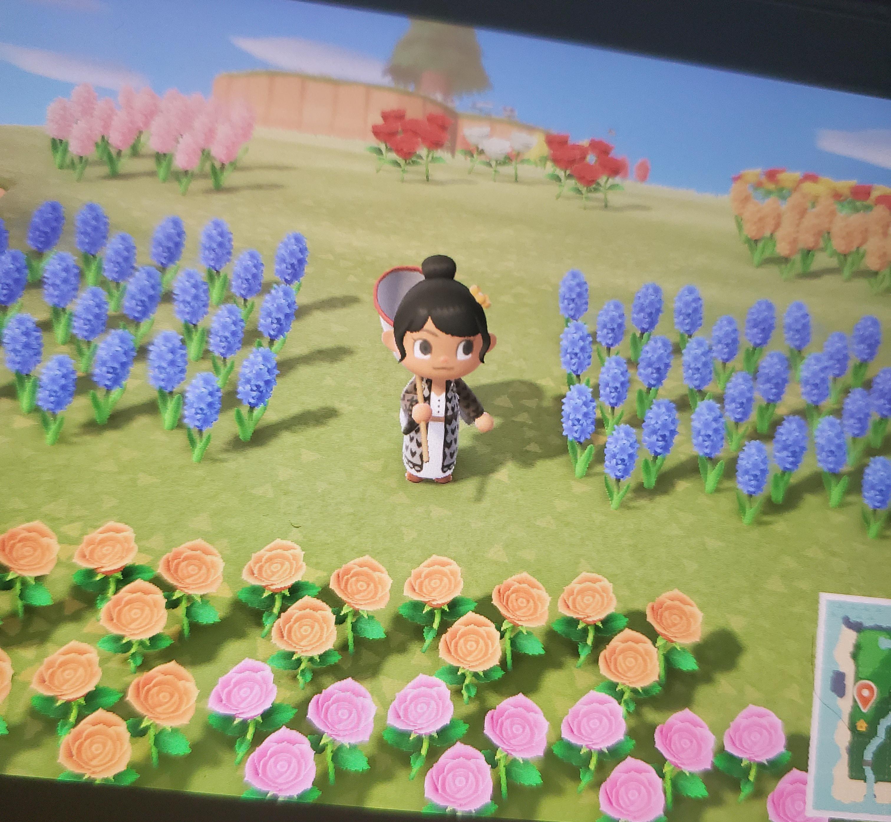 After finding 2 islands full of hybrid flowers, and bringing some home