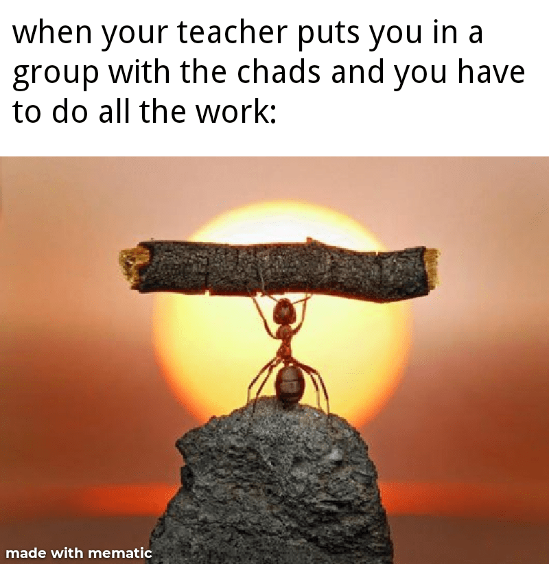 Carrying the "team" r/memes