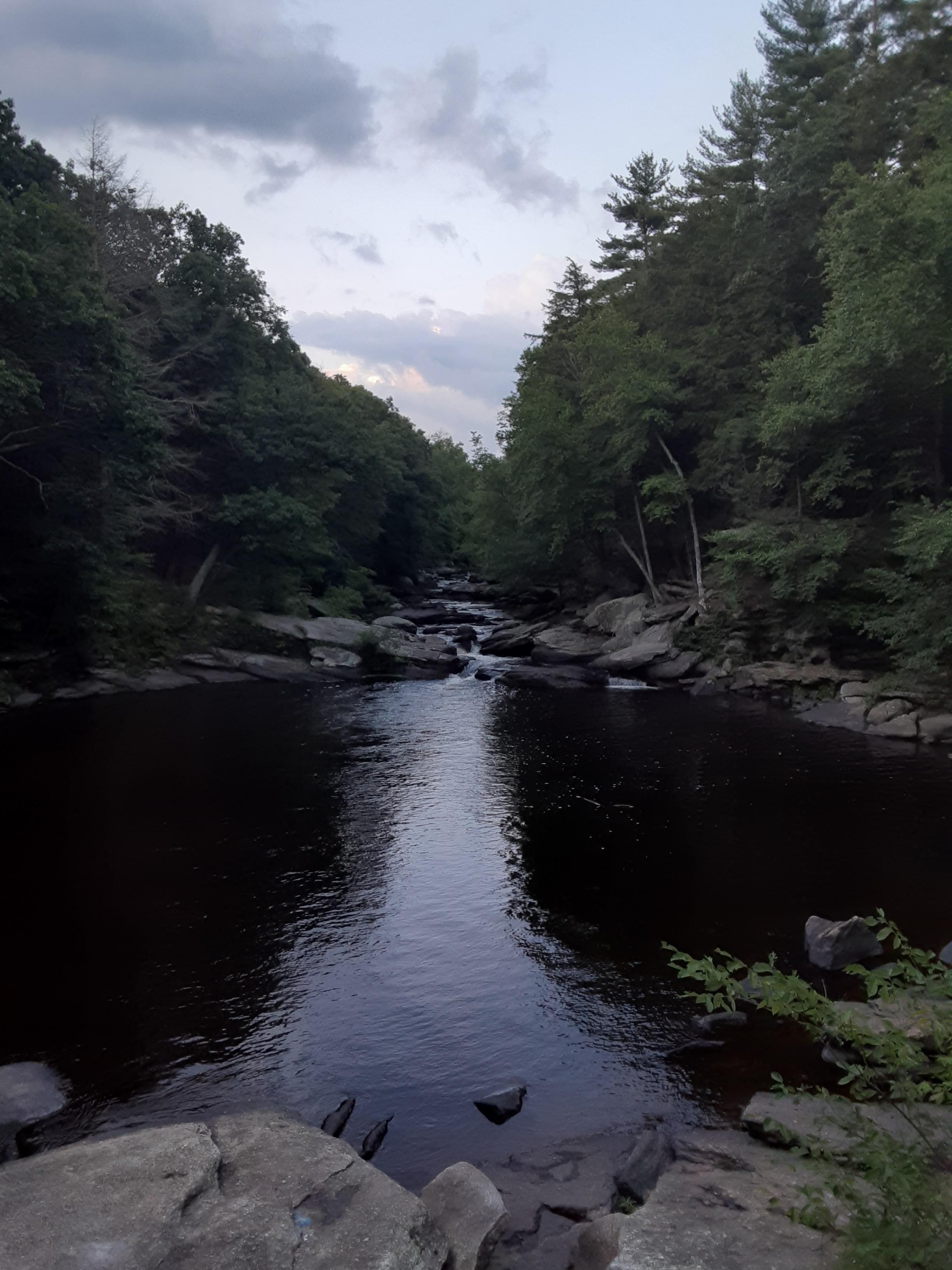 Diana's pool Chaplin (picture by me) r/Connecticut