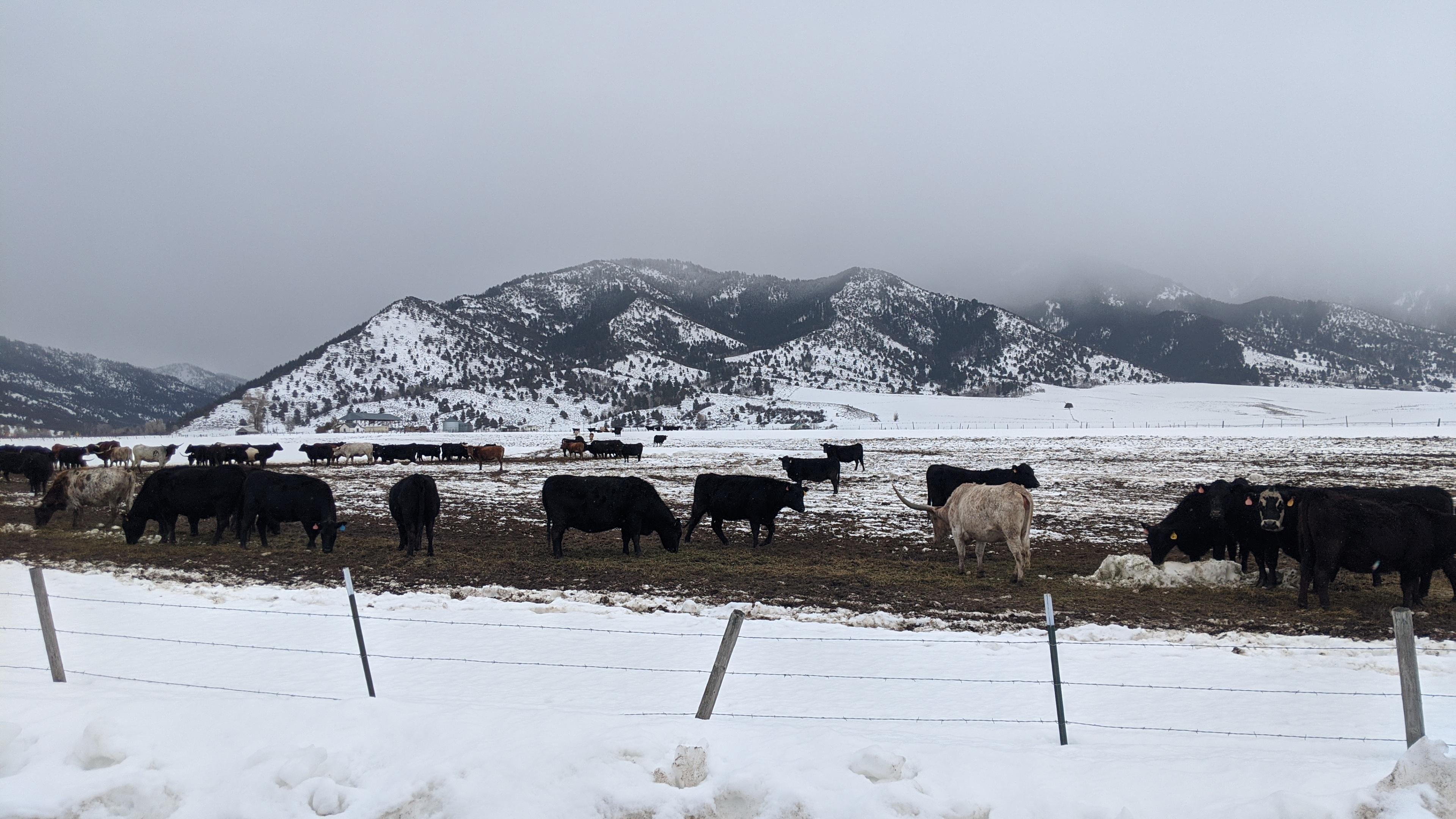 So much beauty in Irwin, Idaho. r/Idaho