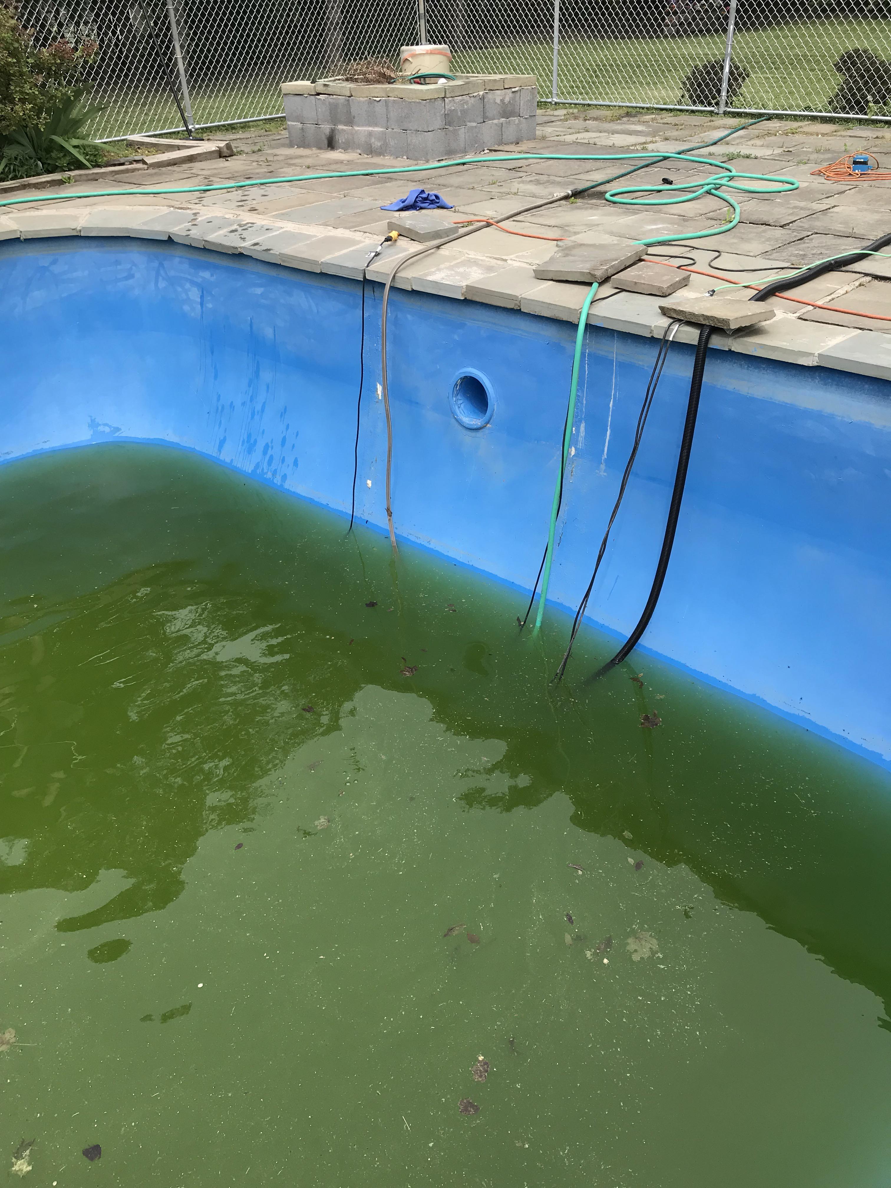 Does anyone have any advice? I’m draining my moms pool and it’s really