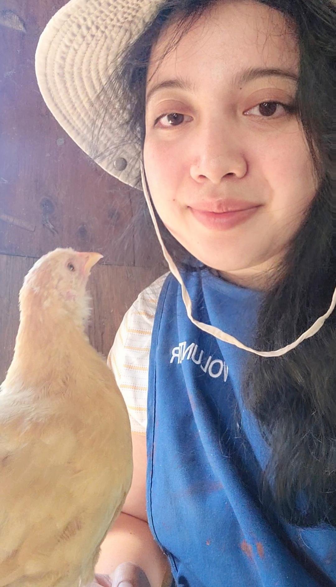 Chickens are so affectionate.. they're a low maintenance companion
