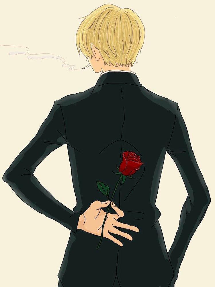 Who will sanji propose and end up with after one piece gets discovered