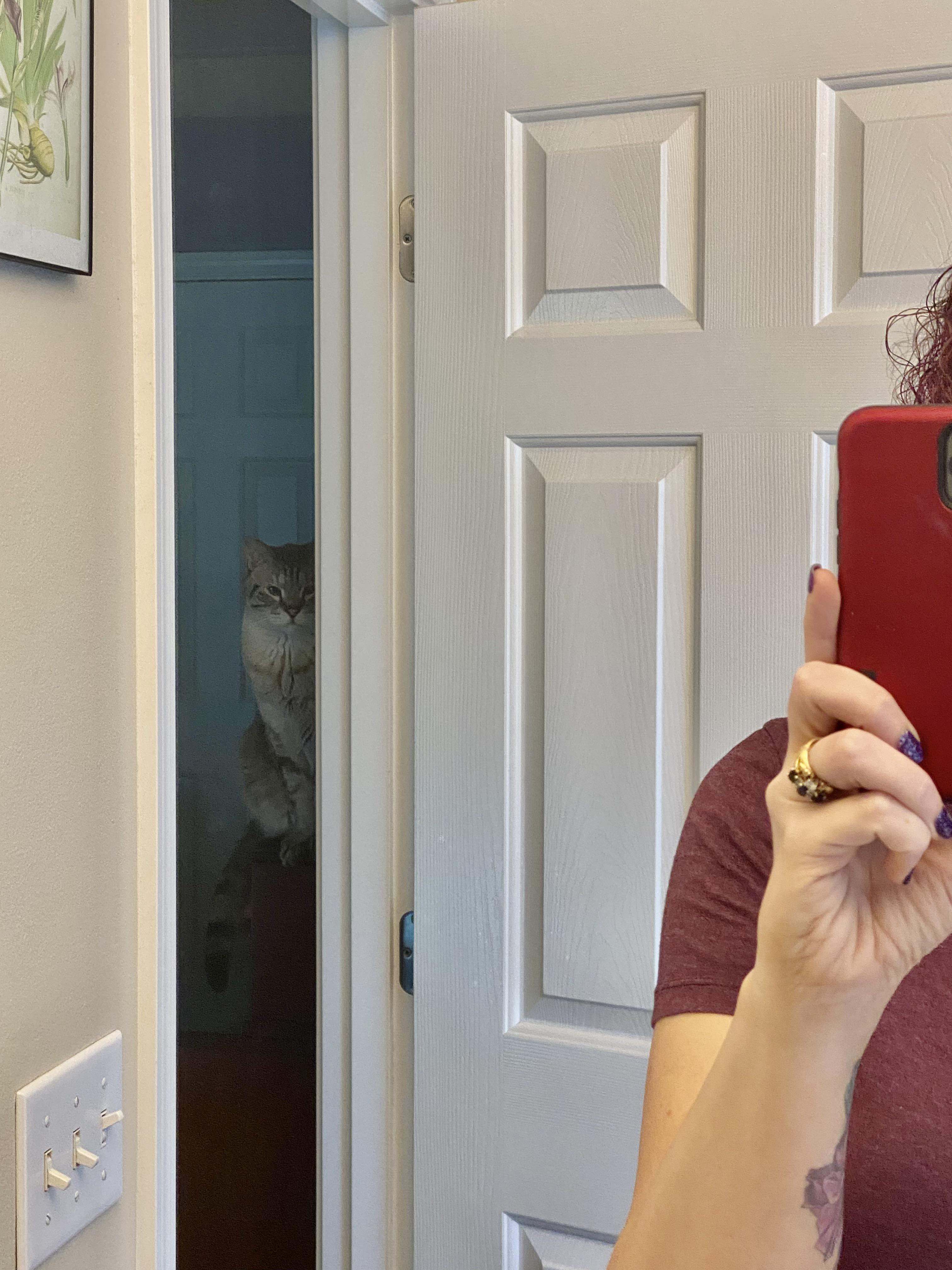 I always feel like somebody’s watching me… r/SneakyAnimals