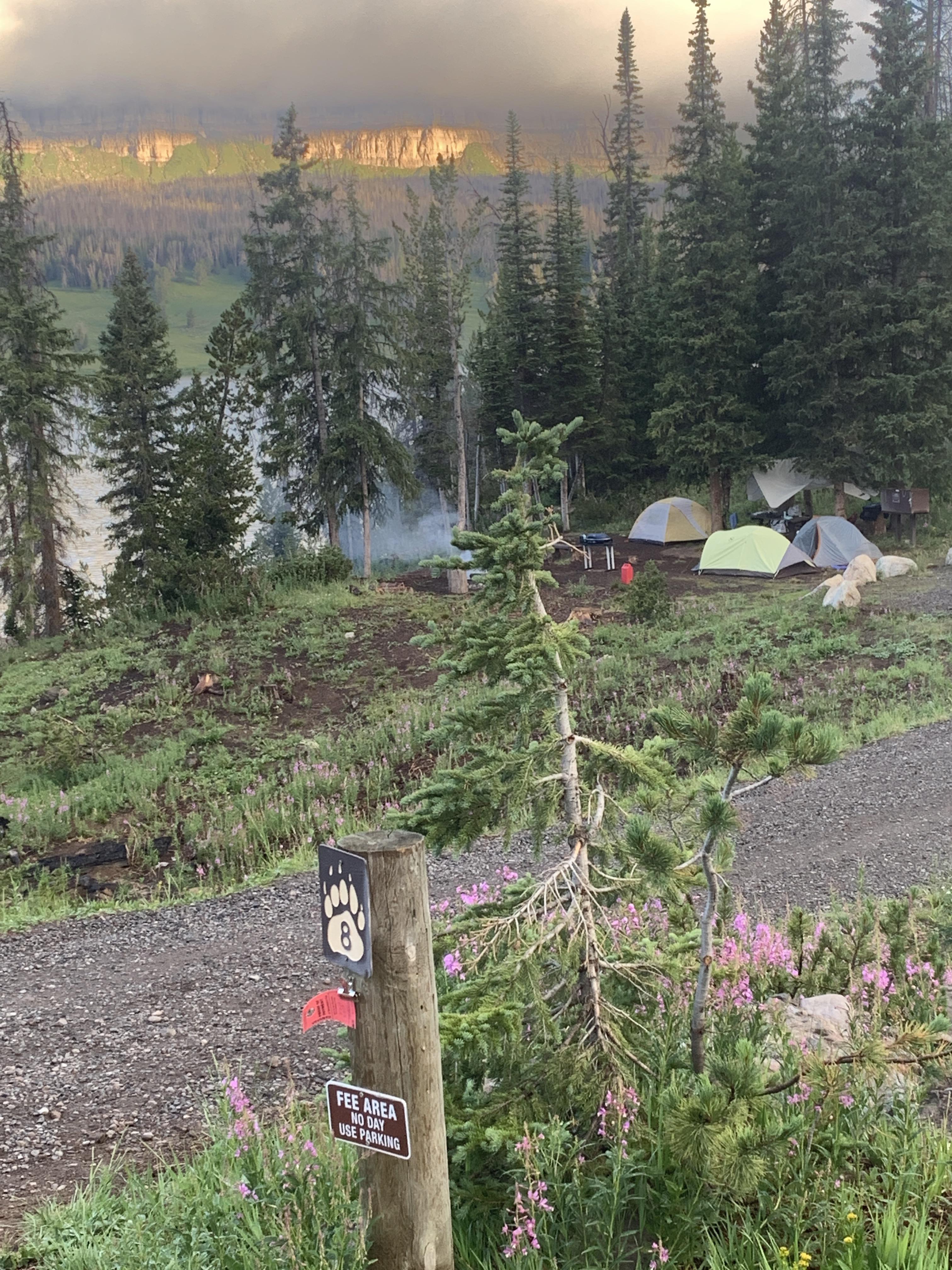 Camping in the Tetons miss this view r/camping