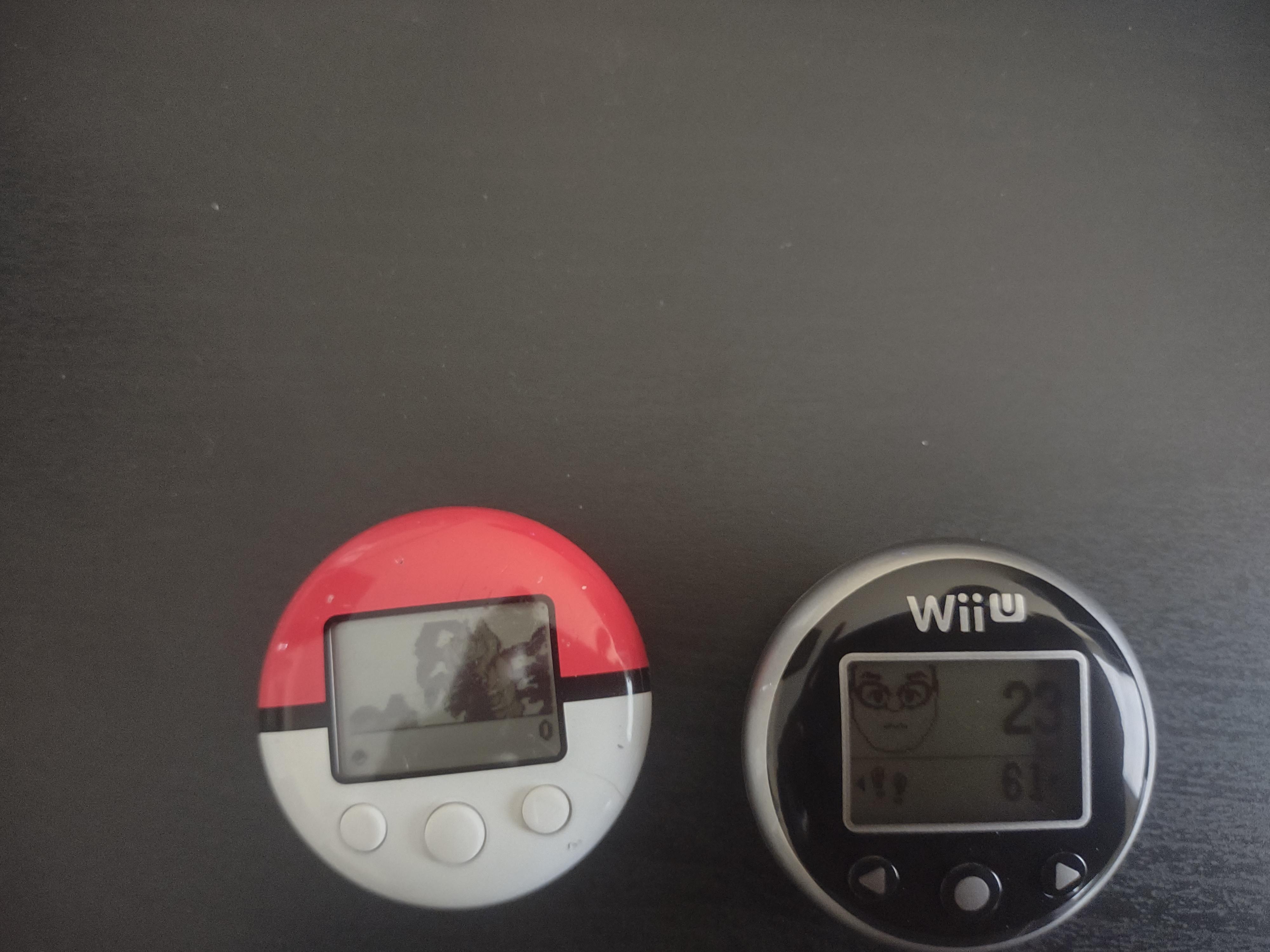 In terms of Nintendo pedometers, I'm only missing the personal trainer
