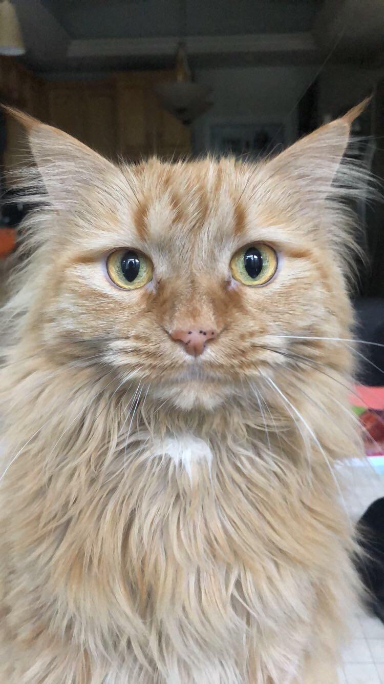 Staring deep into my soul aww