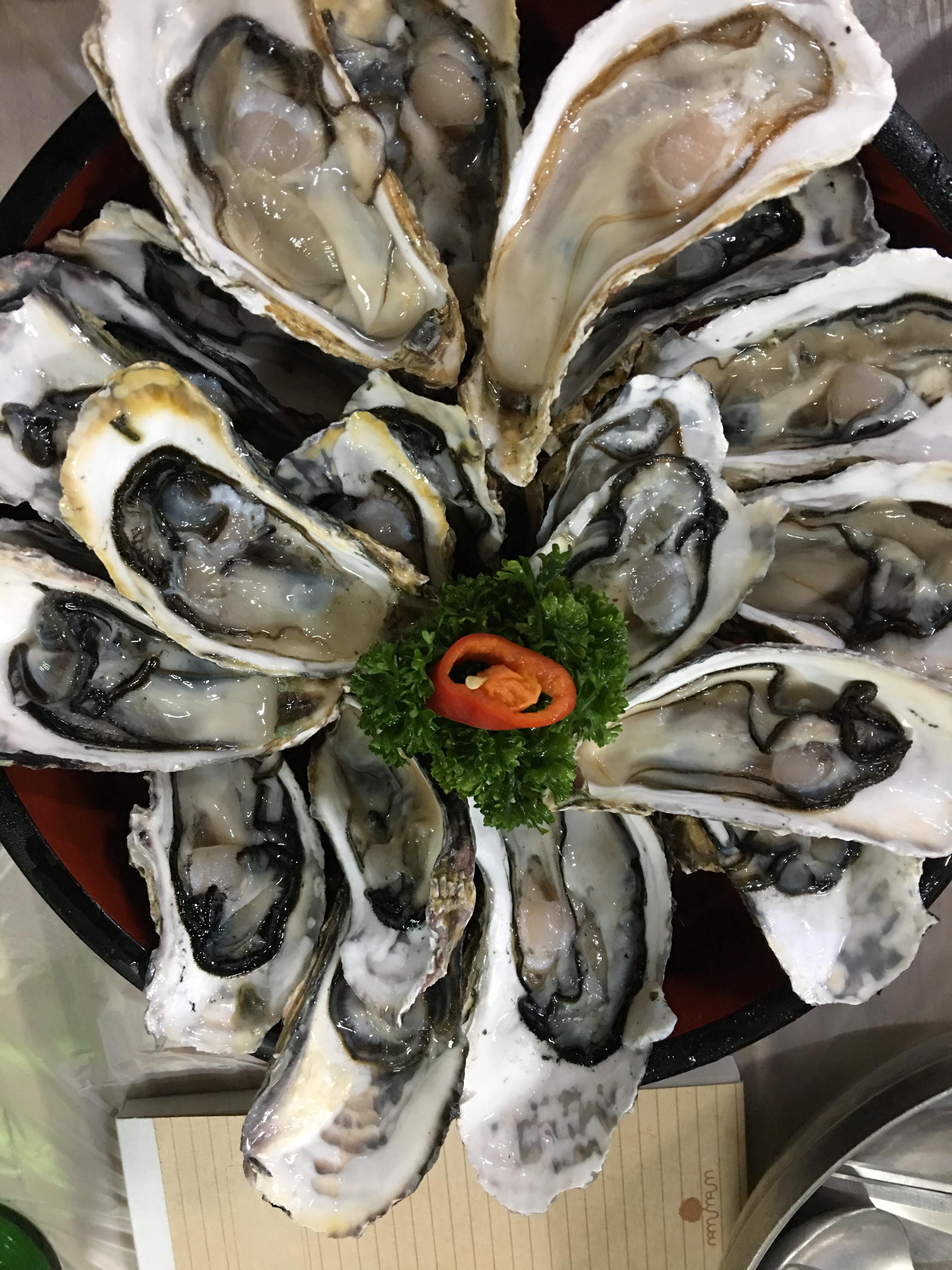 If you like oysters, come to South Korea after the pandemic. Oysters