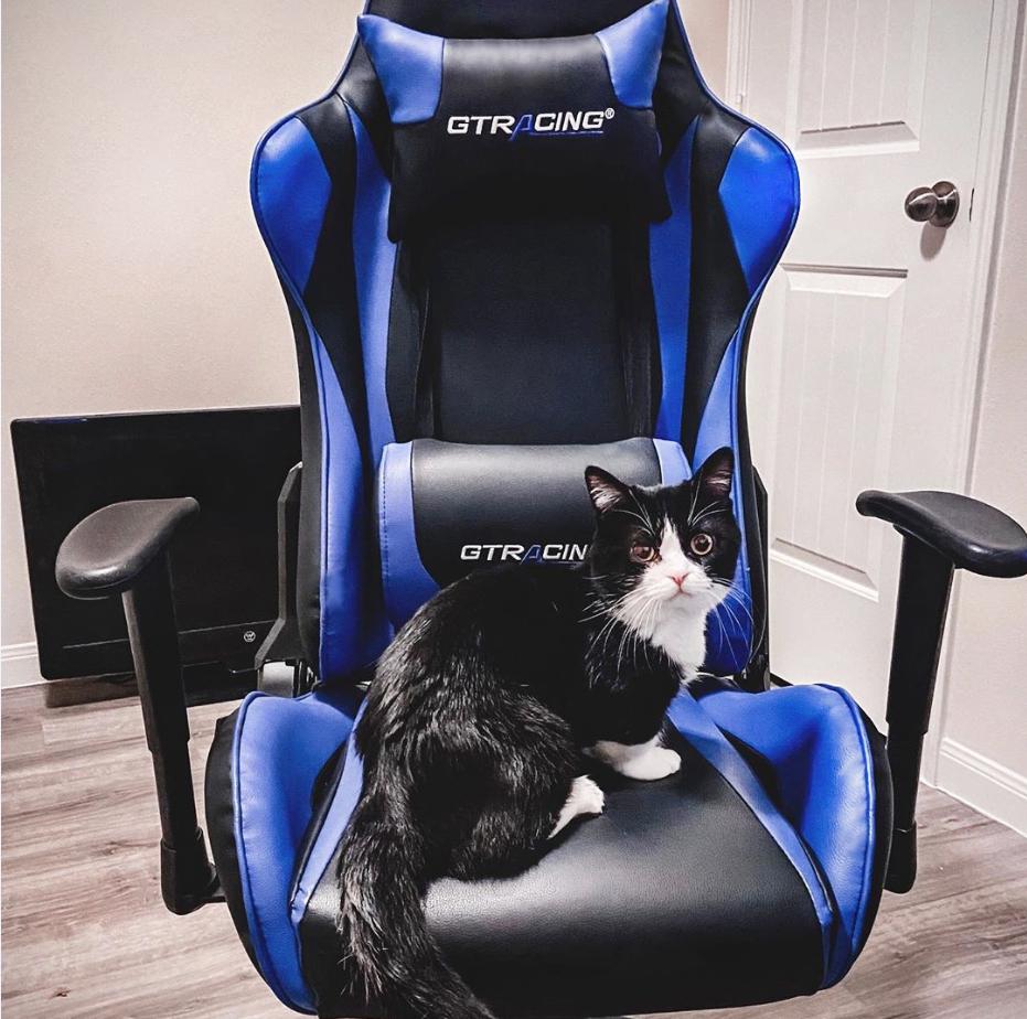 Are the gtracing gaming chairs so comfortable? So many cuties like