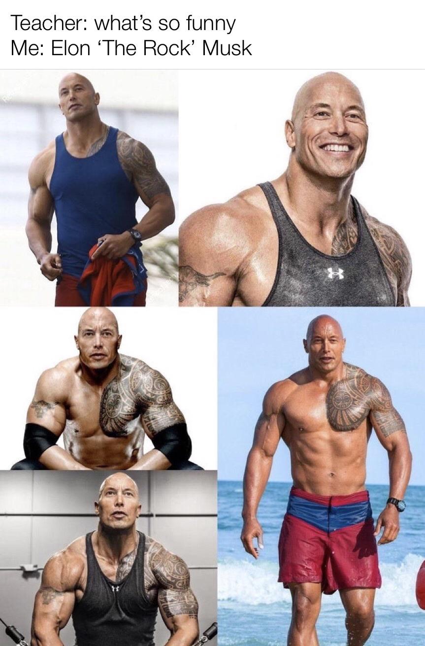 Elon ‘The Rock’ Musk dankmemes