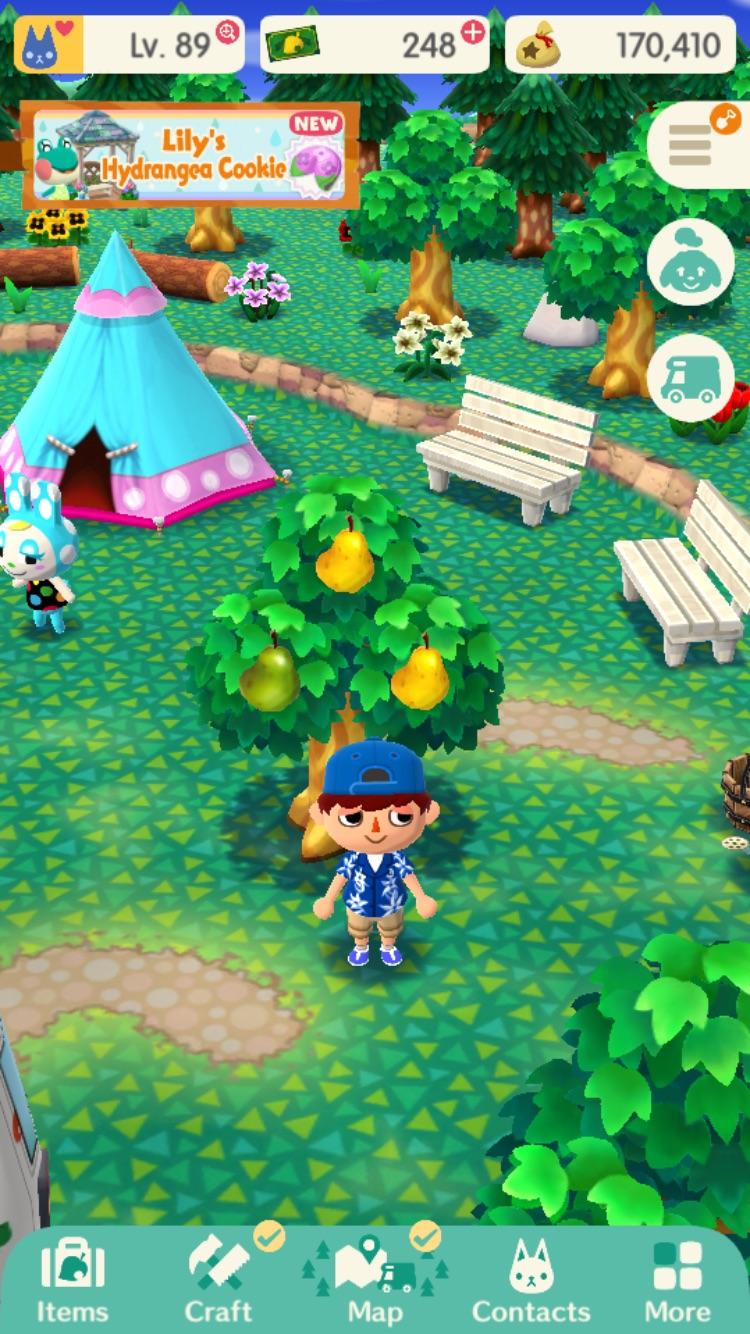 luck is on my side today boyos ACPocketCamp