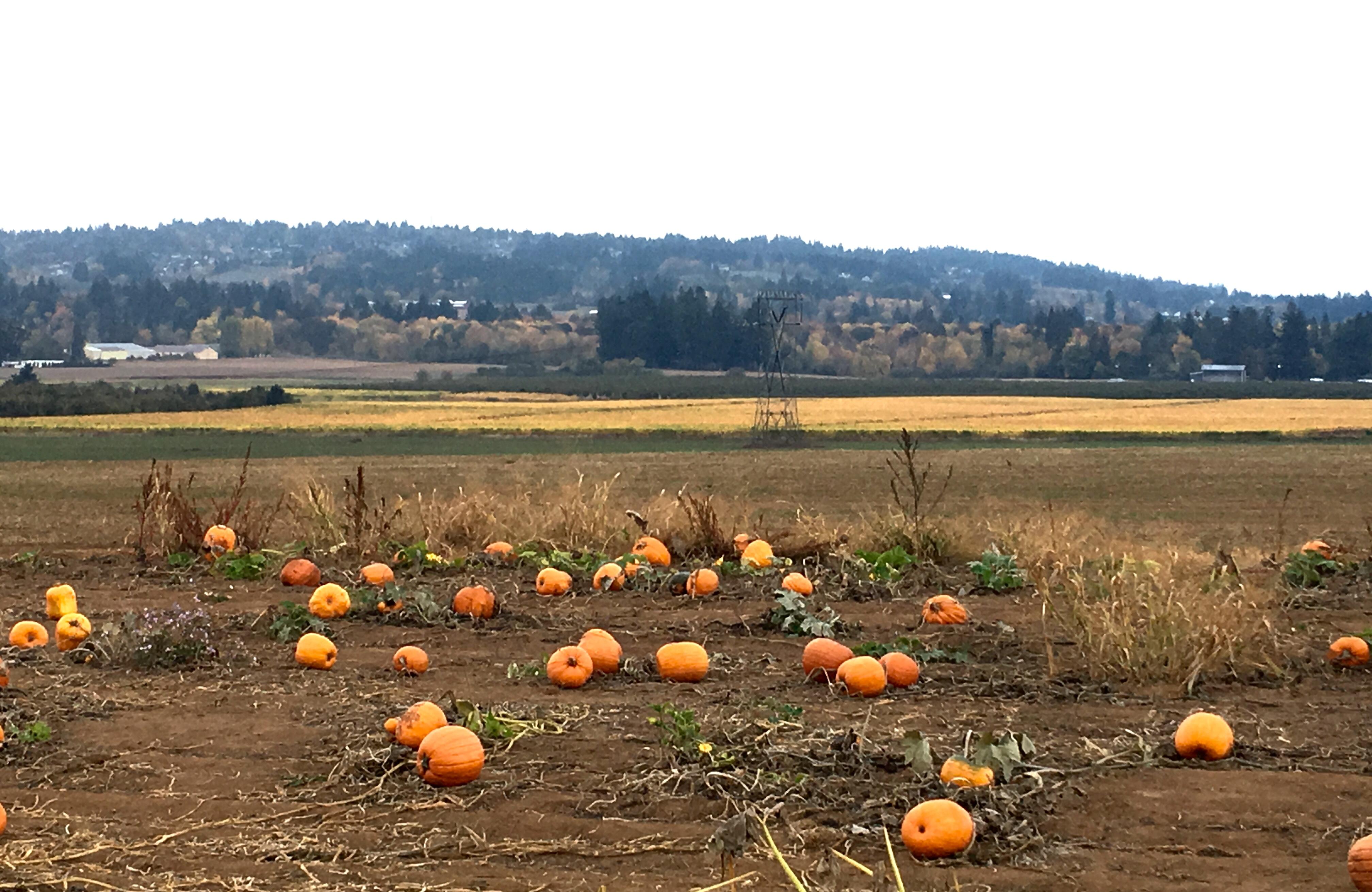 It's nice to be out of the Arizona desert and be able to experience