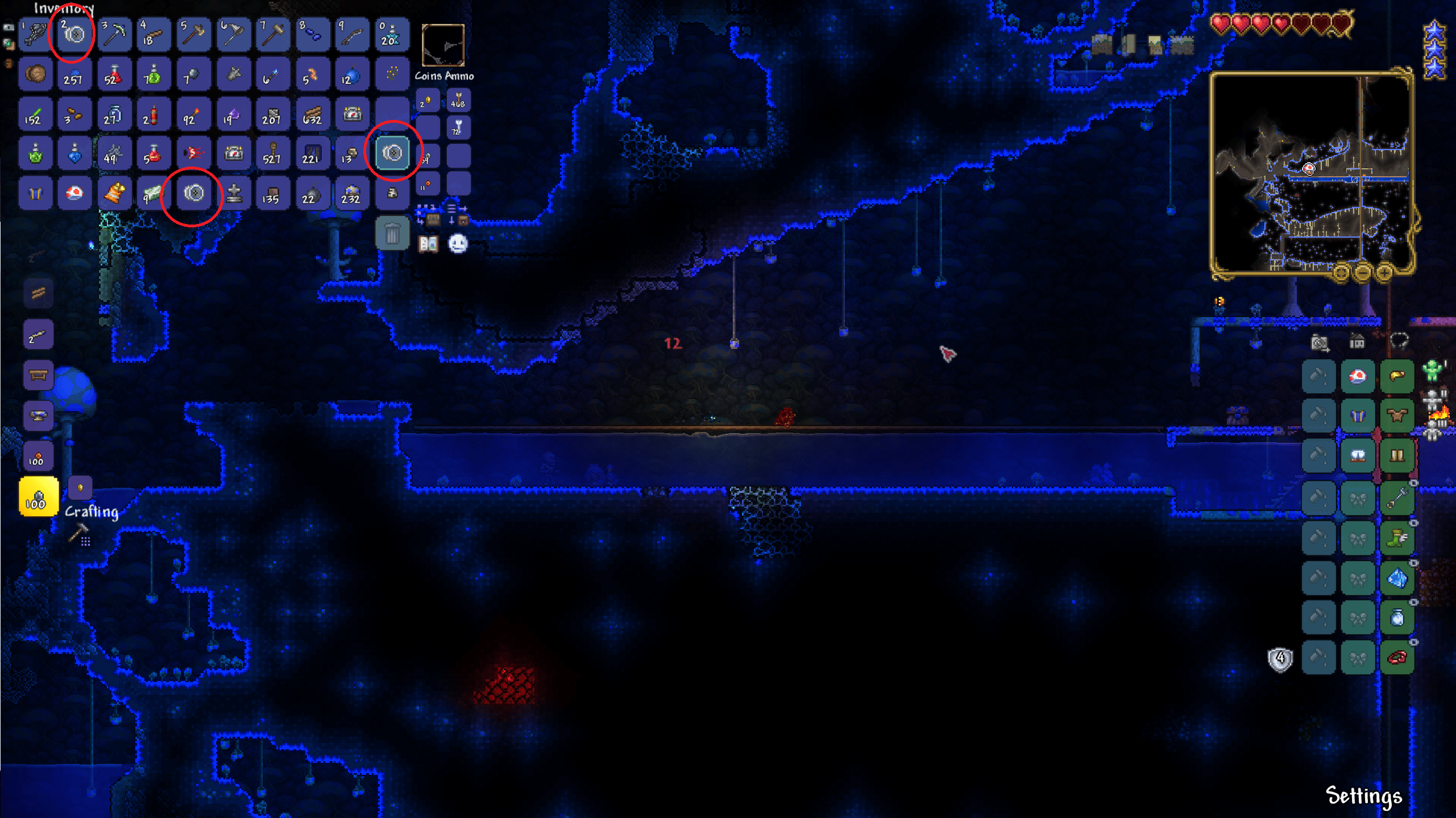 On my first Yoyo playthrough, I was farming for Rally (3.9 droprate