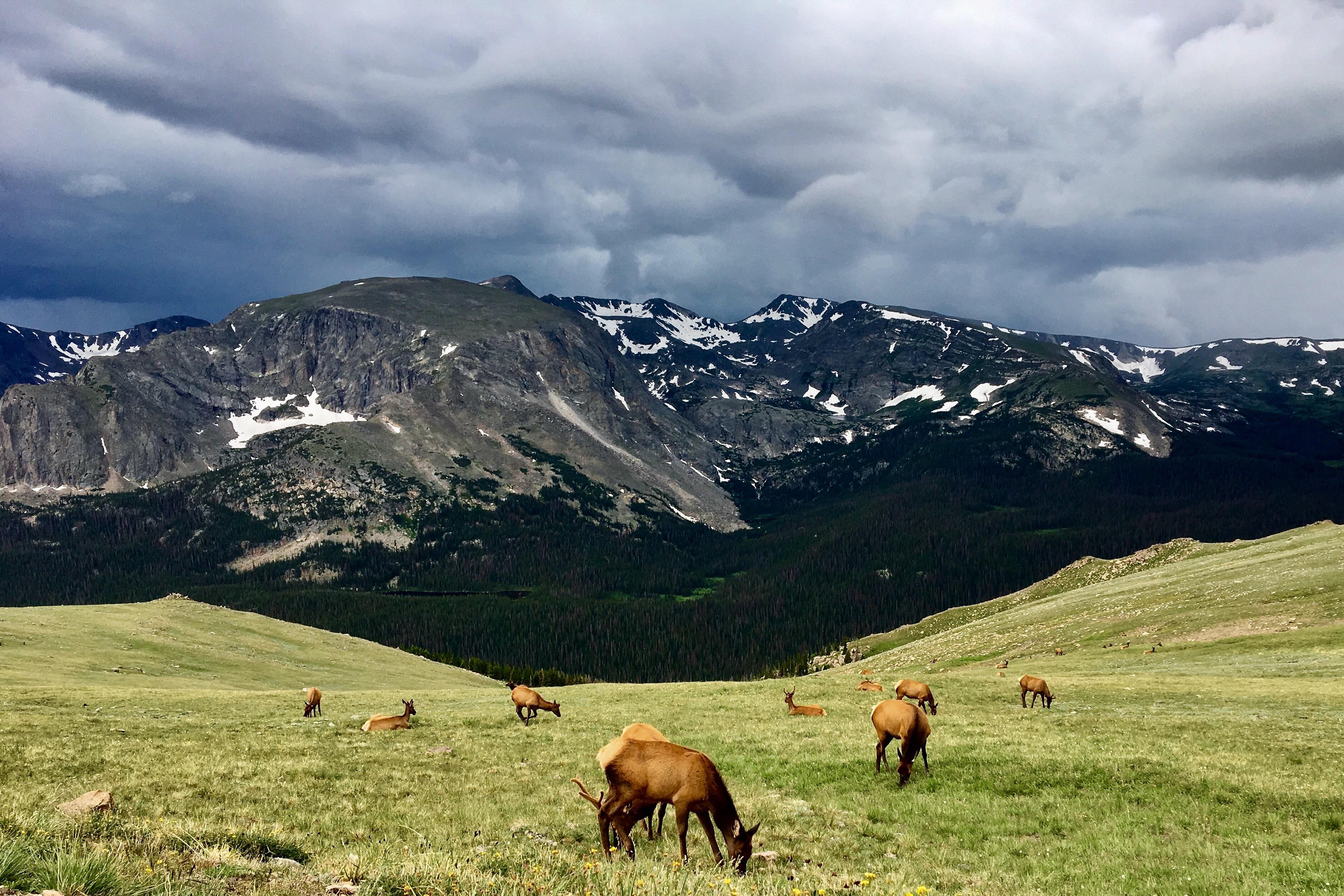 Rocky Mountain National Park never disappoints r/Colorado