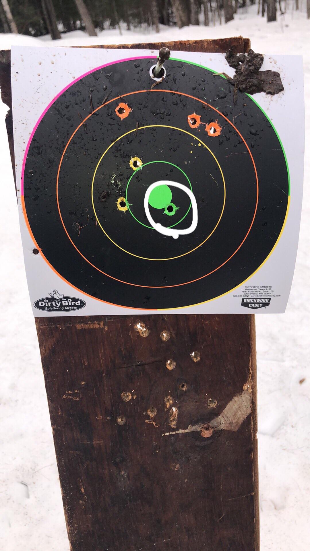 First shots drawing from full concealment. Circled hit was
