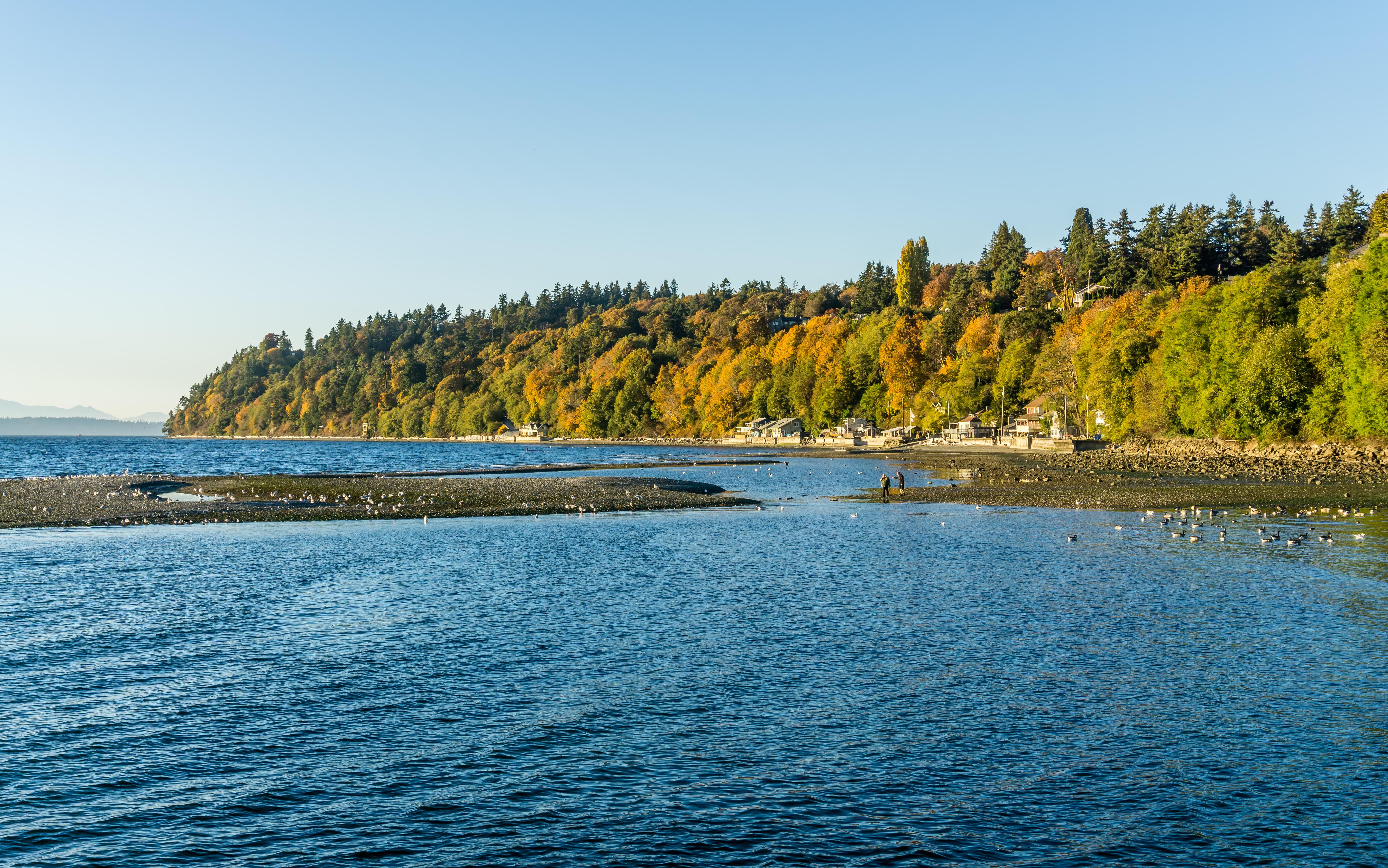 Autumn trees and low tide in Des Moines, Washington. [OC] r