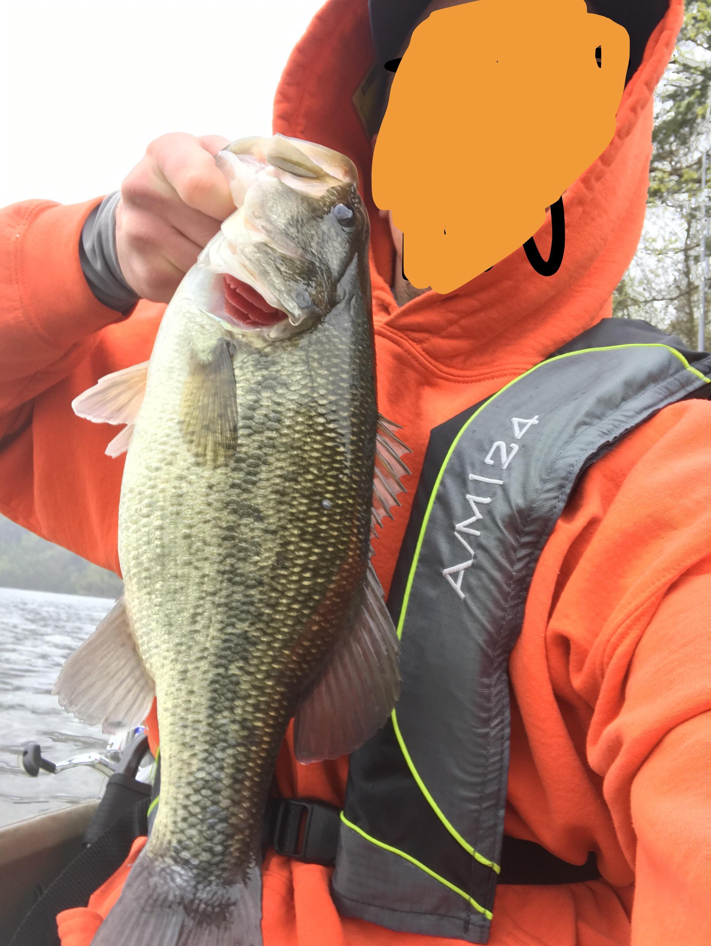 Raystown Lake, Pa r/Fishing