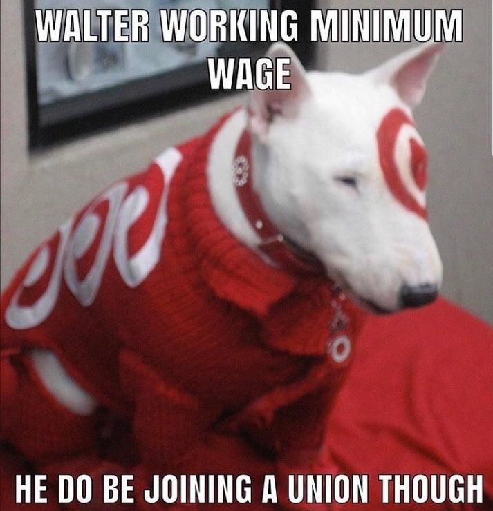 walter target dog 😳 r/walterlore