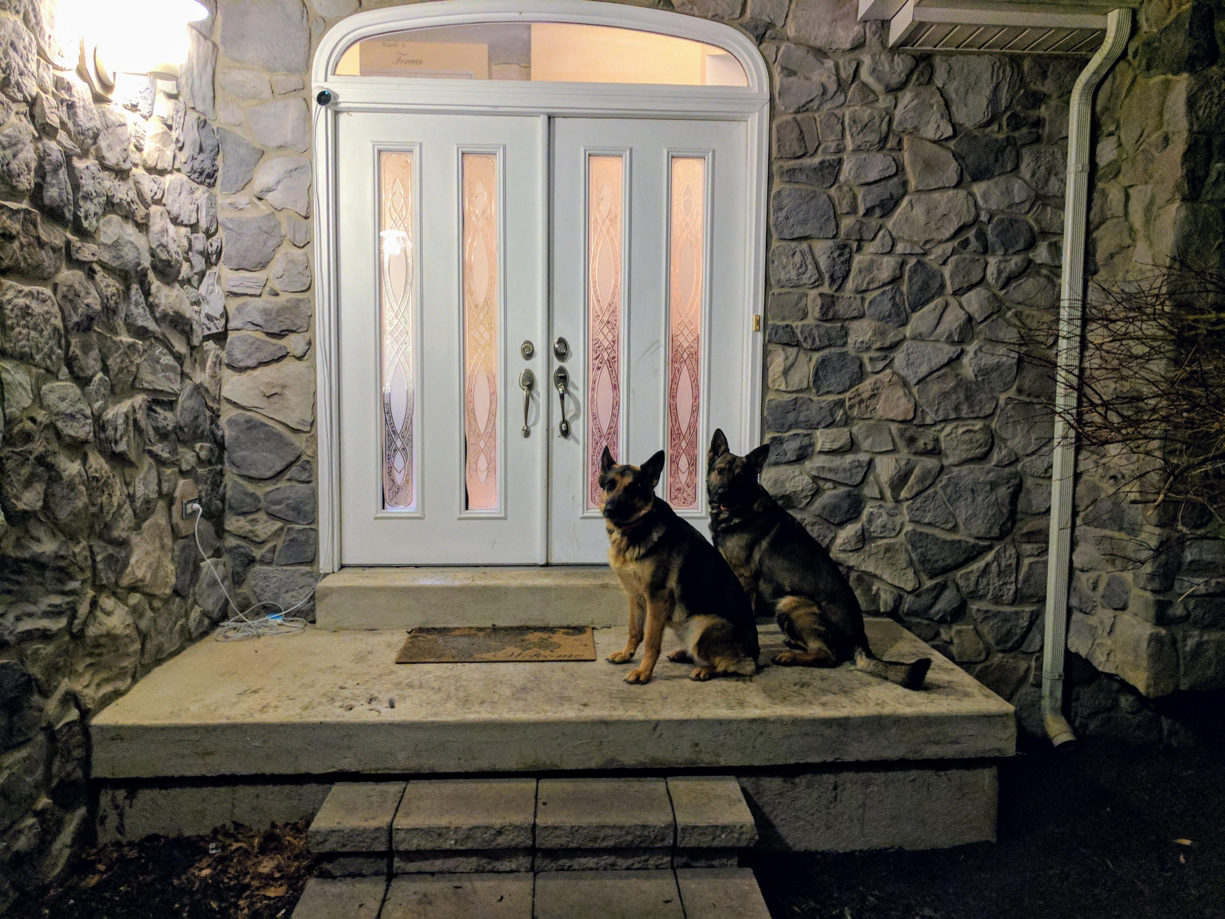 Yeah, c'mon in. Your best defense is a good dog (or pair of them). r