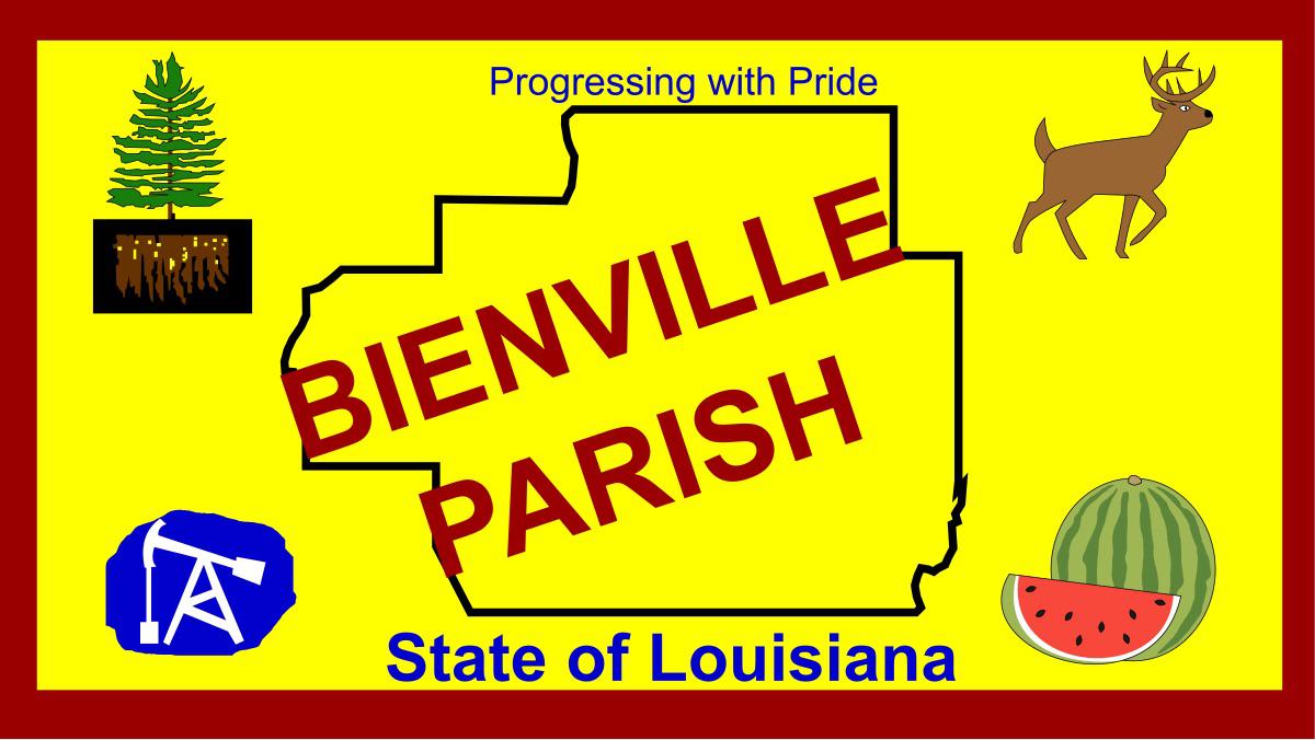 The official flag of Bienville Parish, Louisiana r/mspaintflags