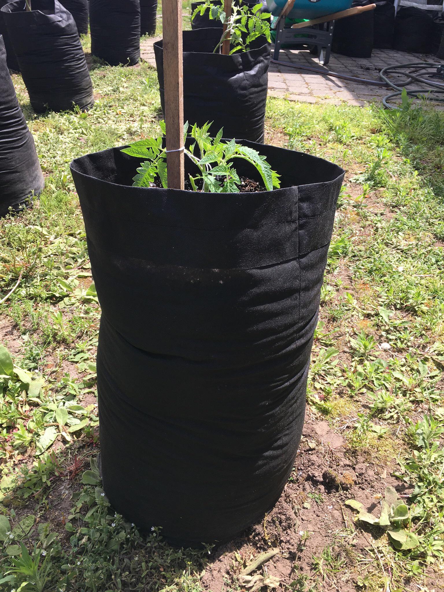 Homemade grow bags! Heavy Duty Landscape fabric and UV resistant thread