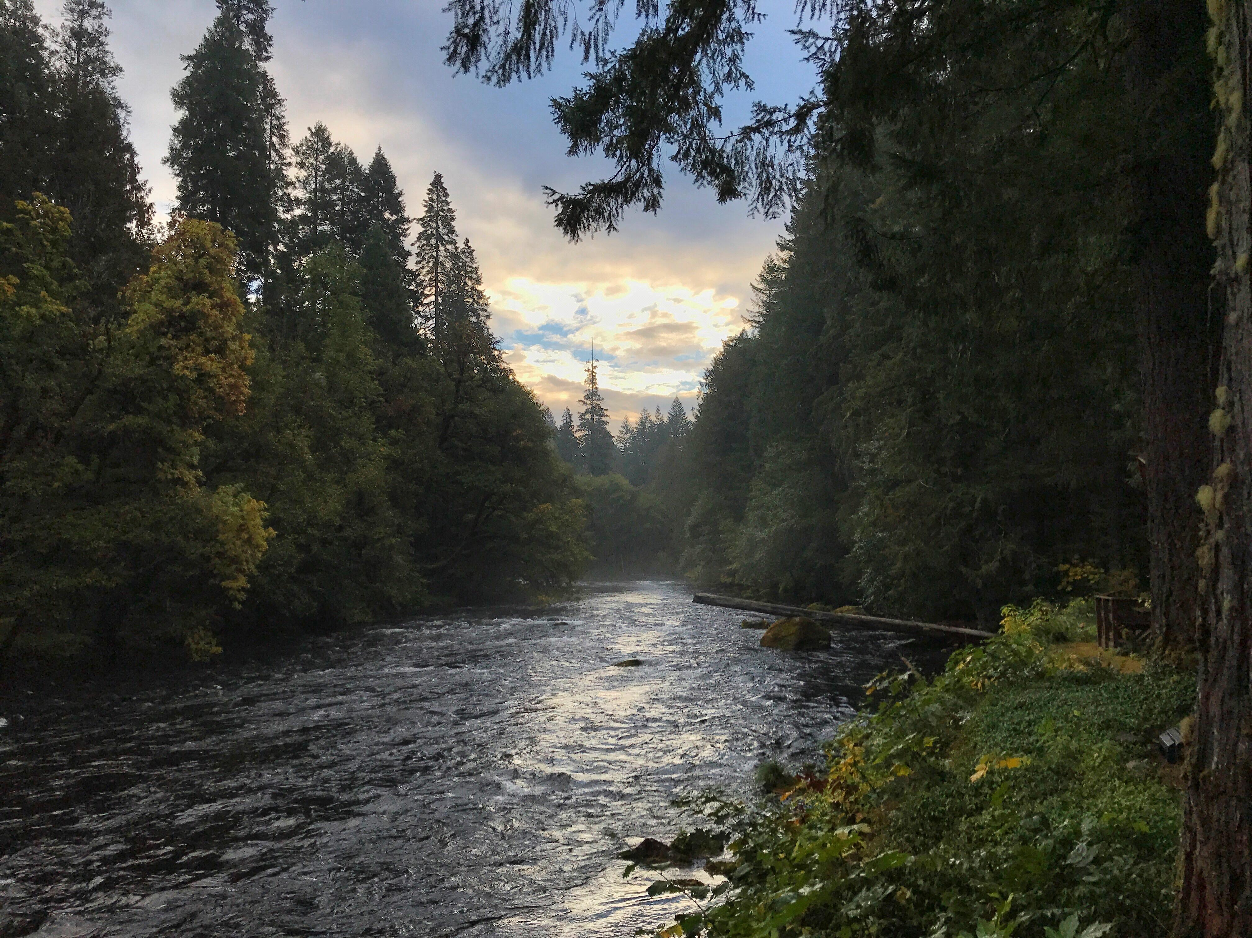 Early morning mist in McKenzie Bridge, Oregon r/MostBeautiful
