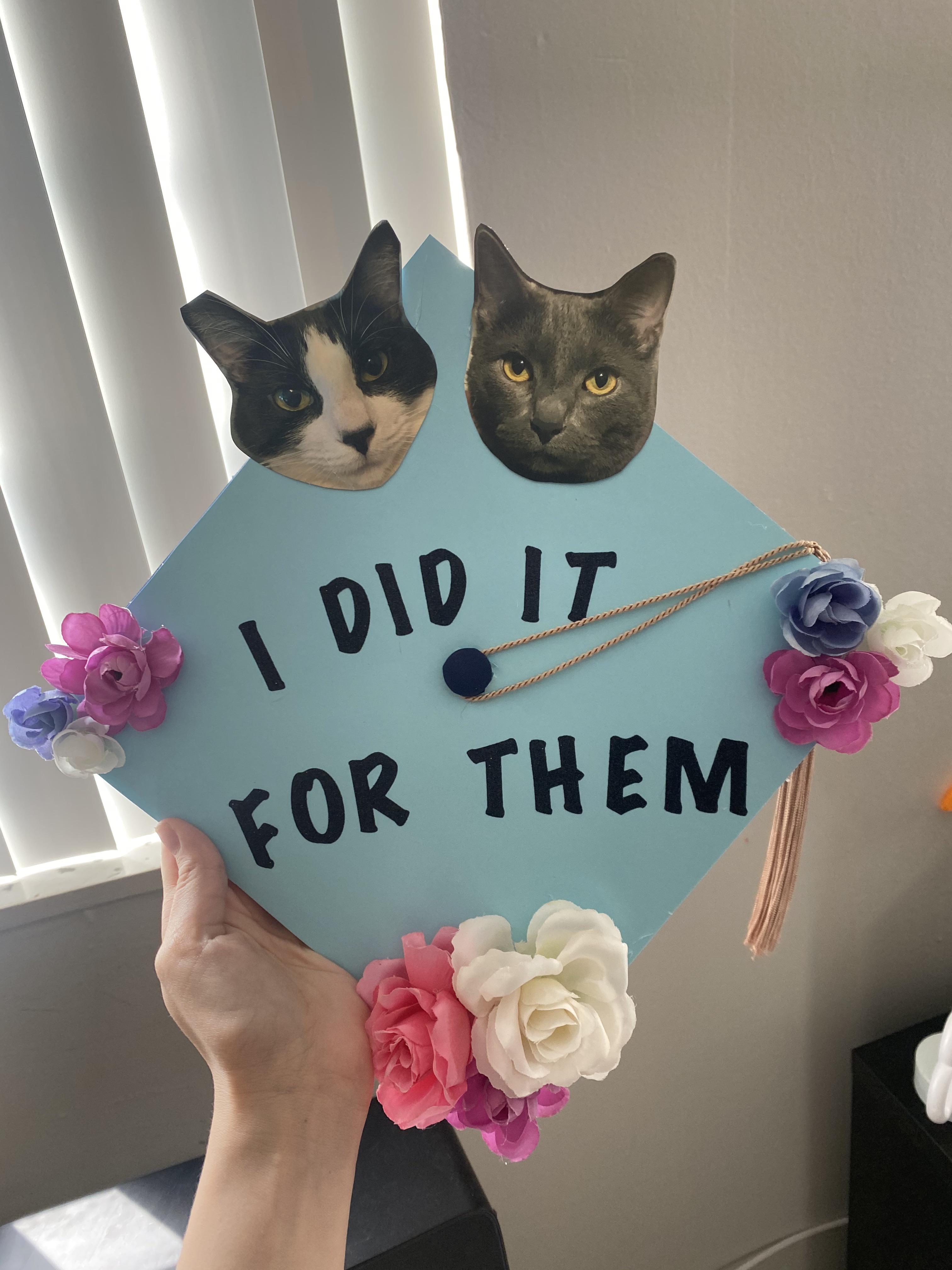 I figured you all would appreciate my graduation cap. r/cats