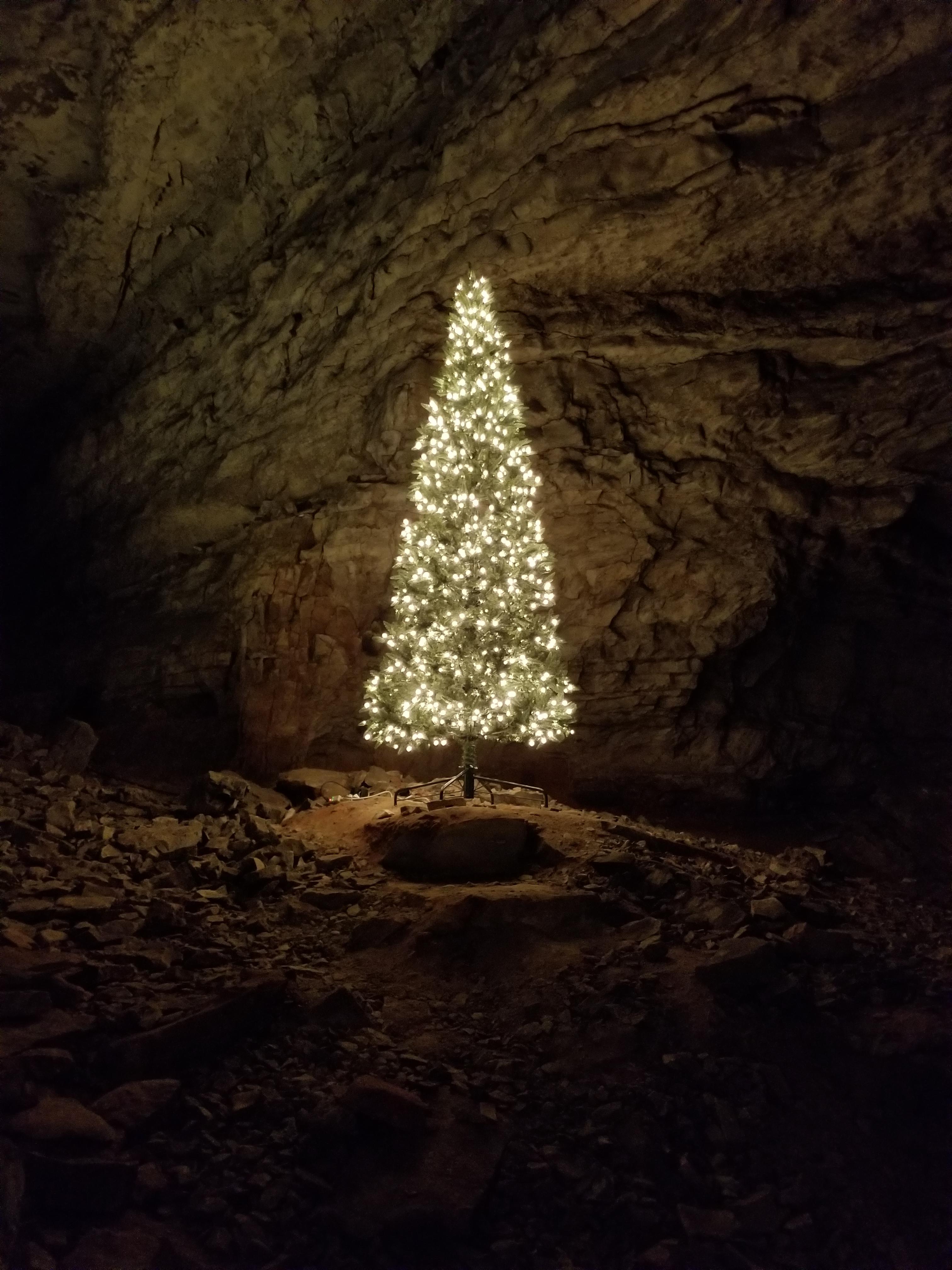 I toured Mammoth Cave in Kentucky today and they set up a Christmas