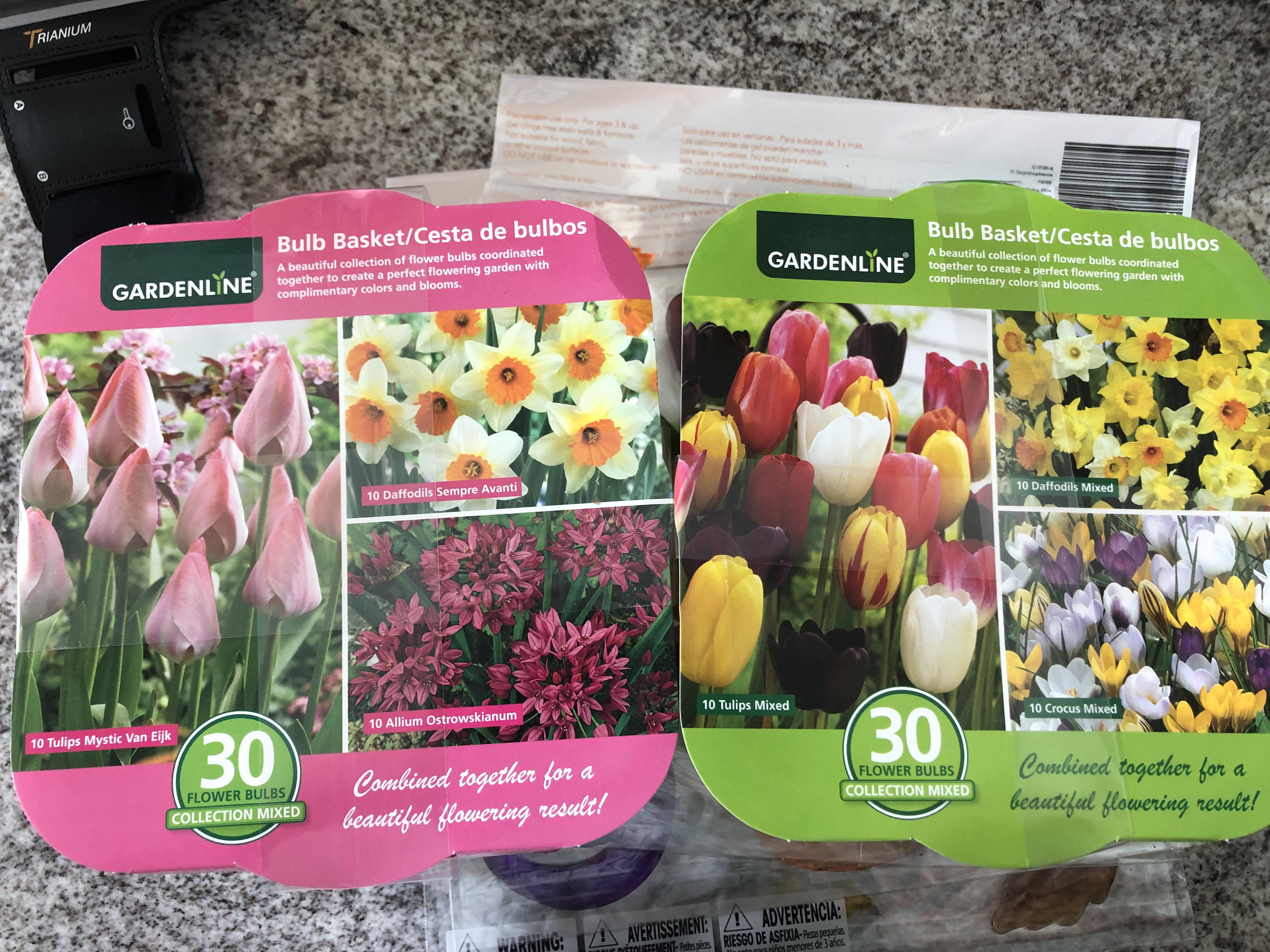 I am so excited about these flower bulbs!! 😱😱 r/aldi