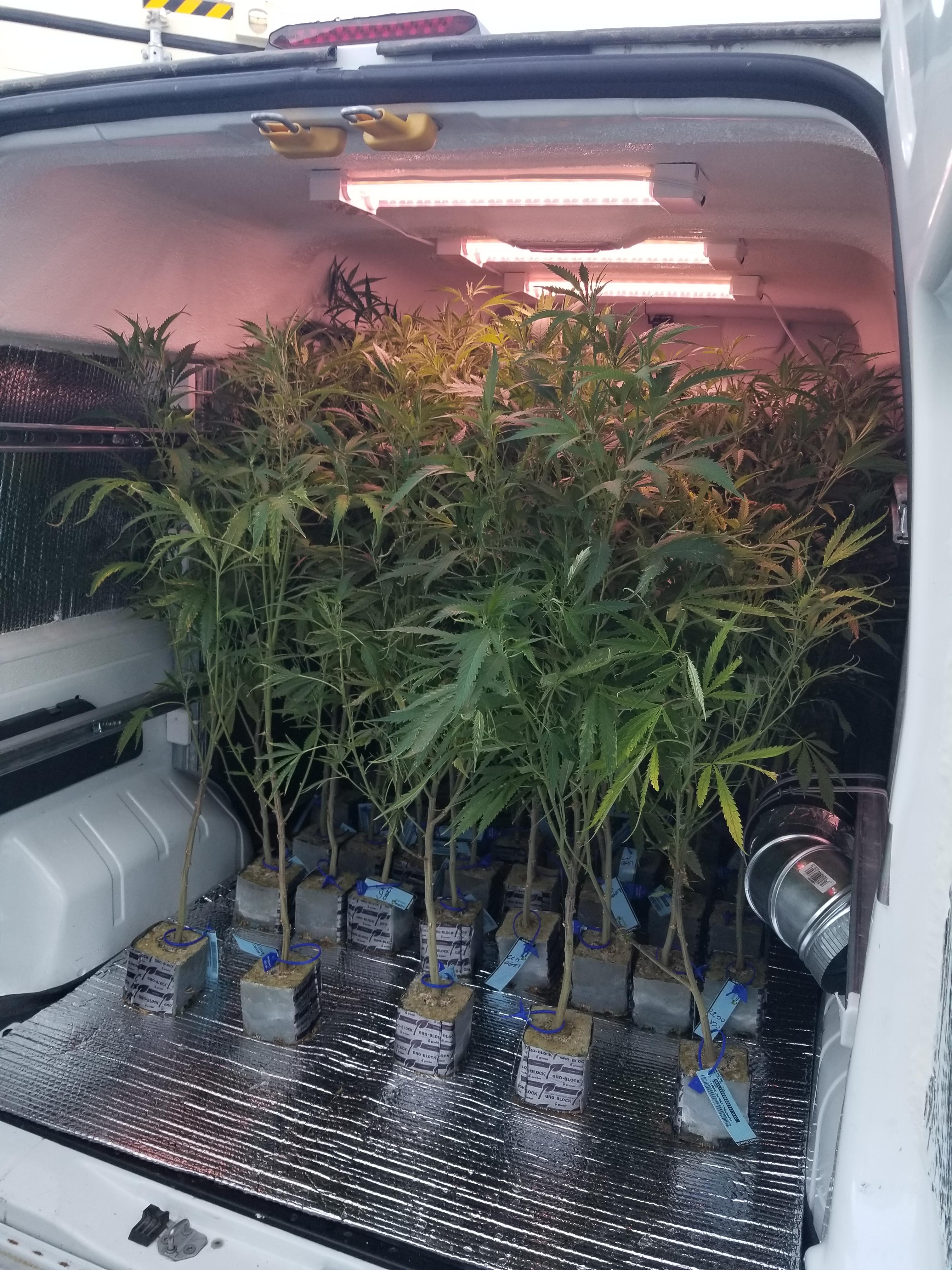 I built a weed transportation van with some friends at work! r/trees