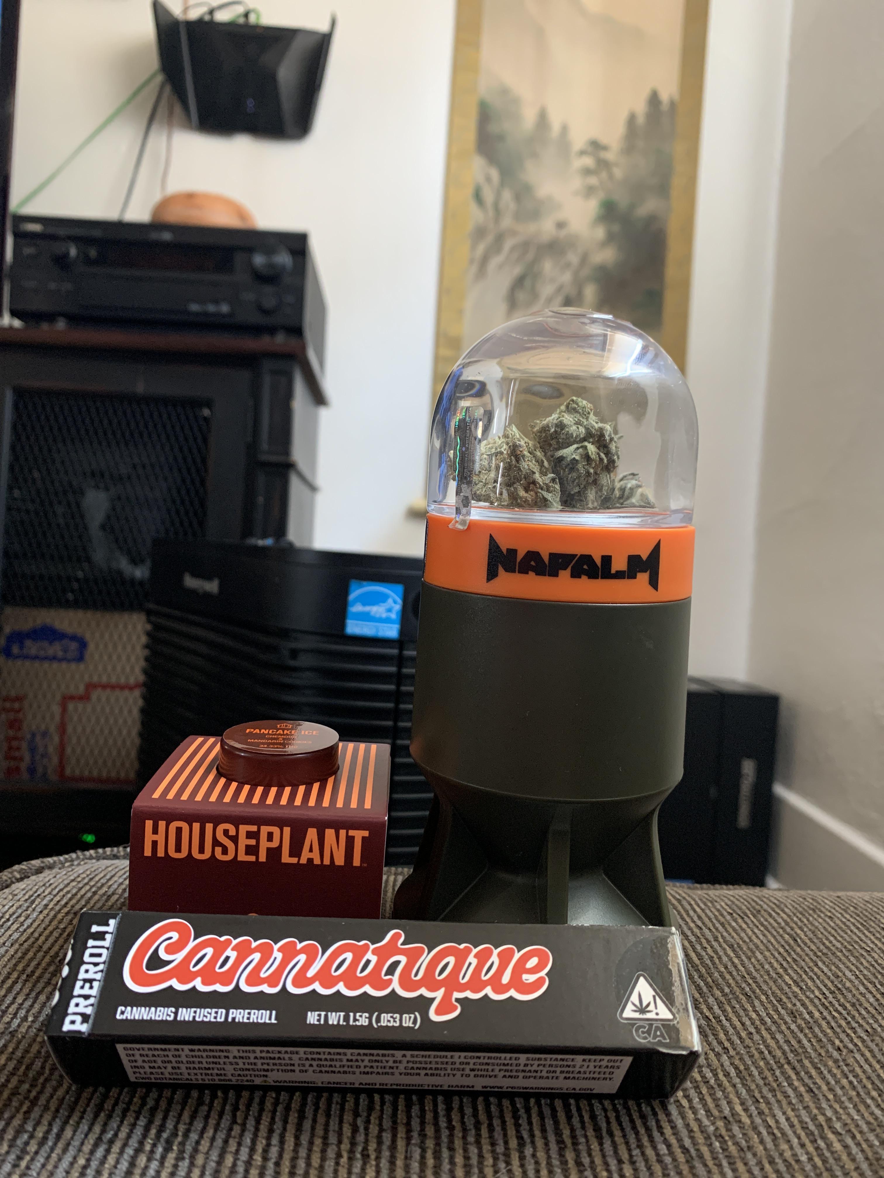 I love my PickUp Days from March and Ash! Pancake Ice (Houseplant