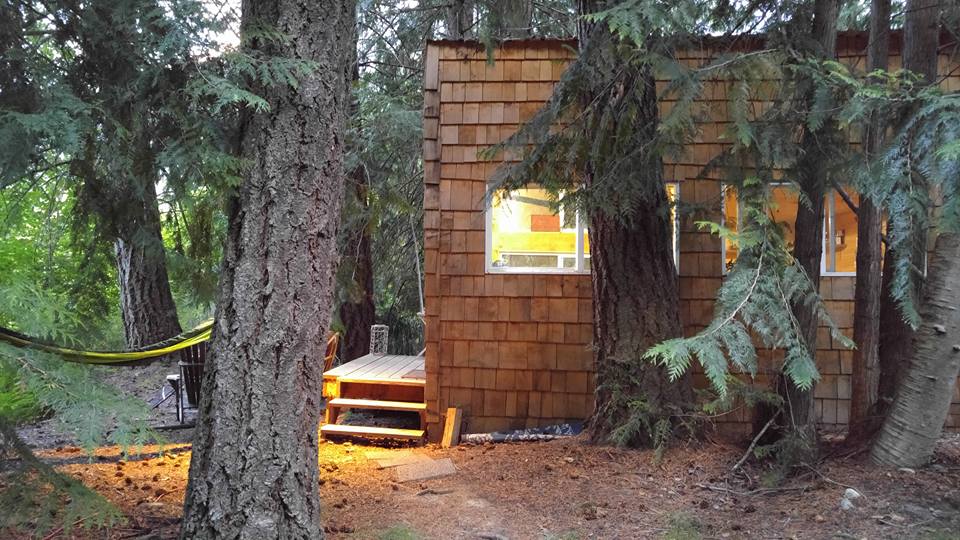 My cabin in a grove of Douglas Fir Trees. Birken, BC, Canada. (960 x