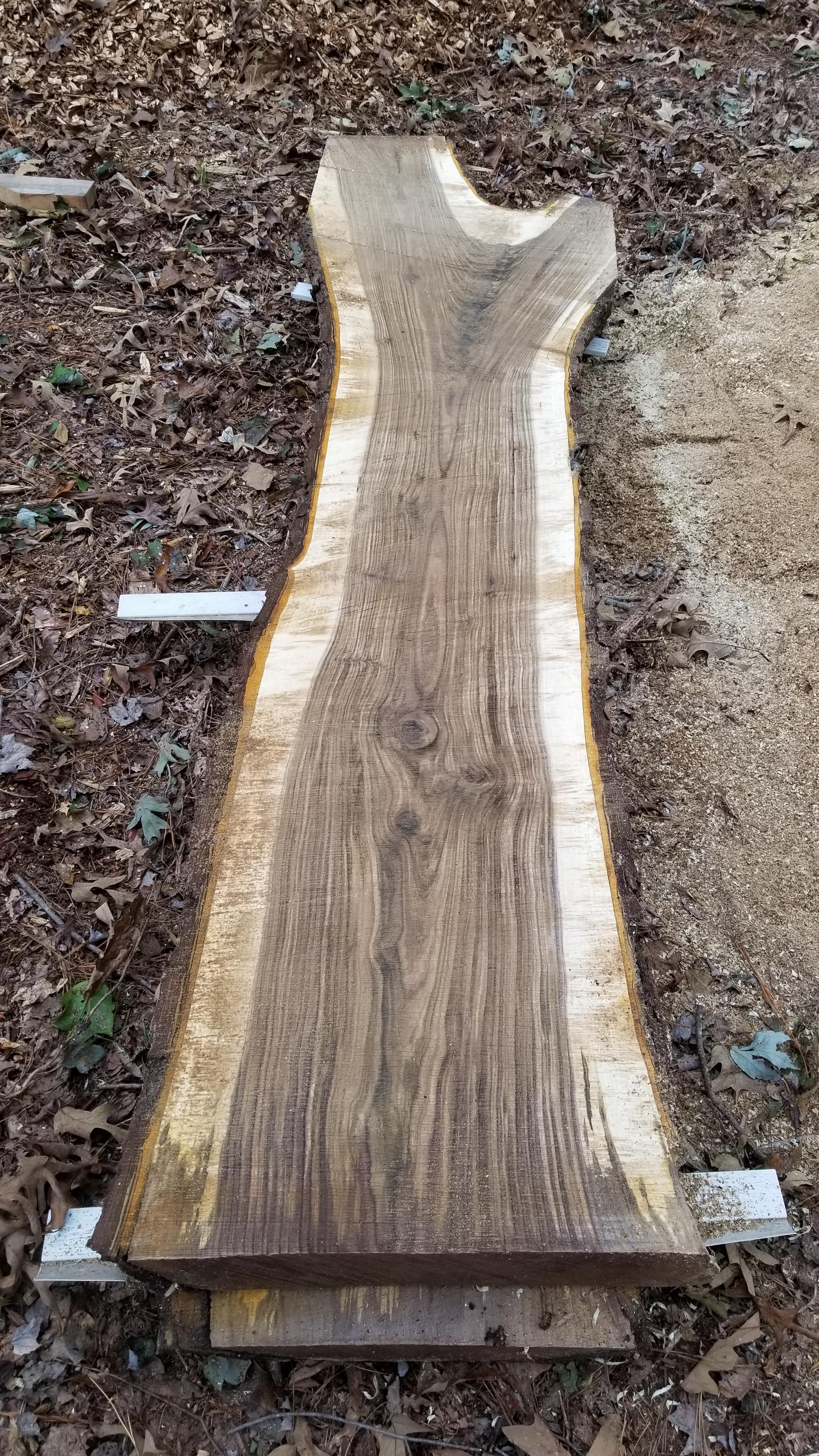 Borrowed an Alaskan saw mill to cut this Black Walnut. Hope to buy a