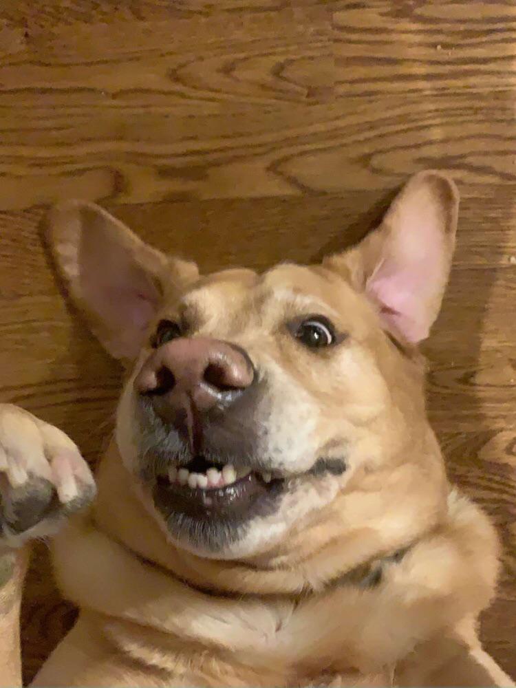Caption this... memes