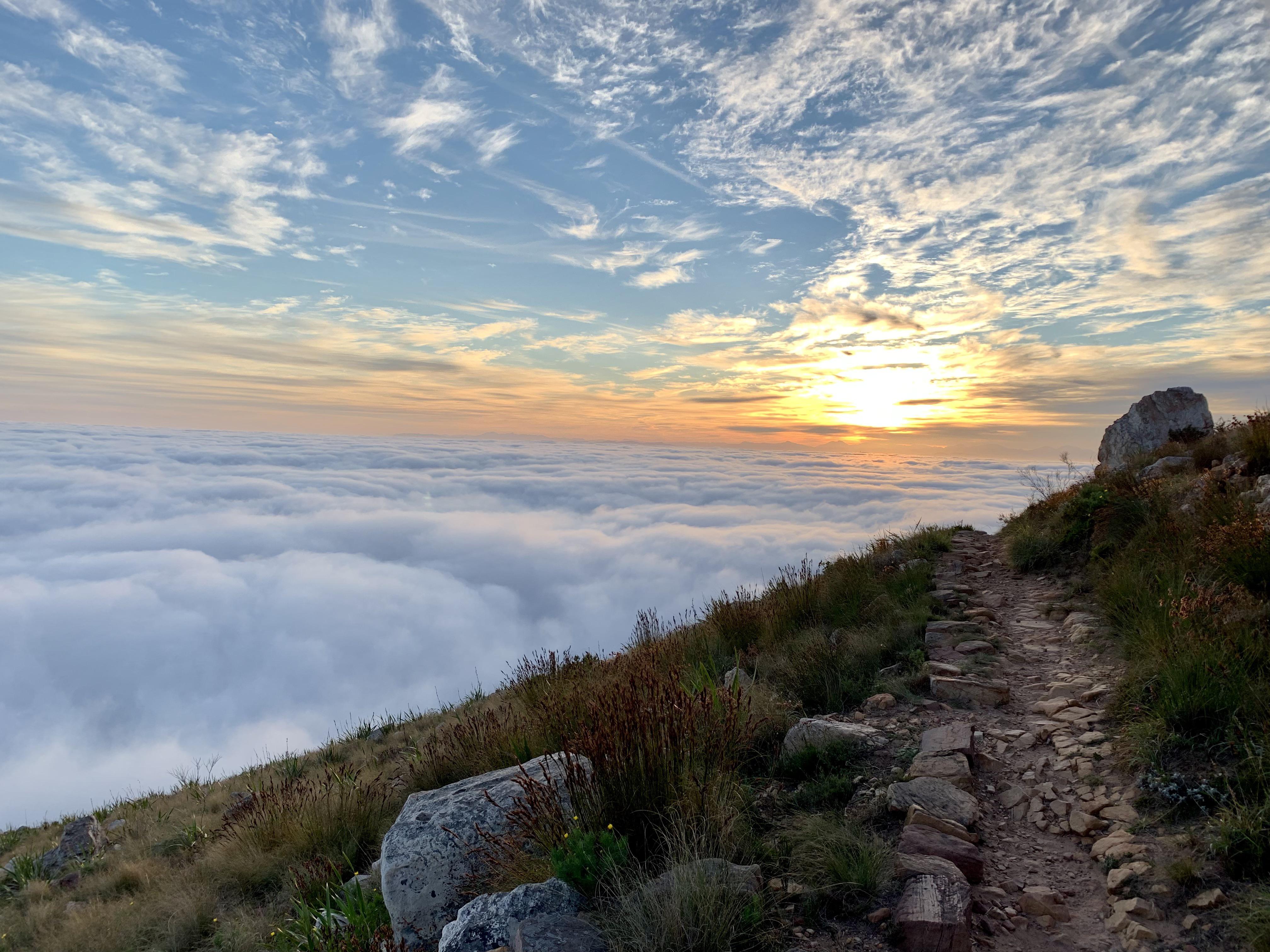 Cape Town trail running ⛰ Above the clouds 🤙🏻 r/trailrunning