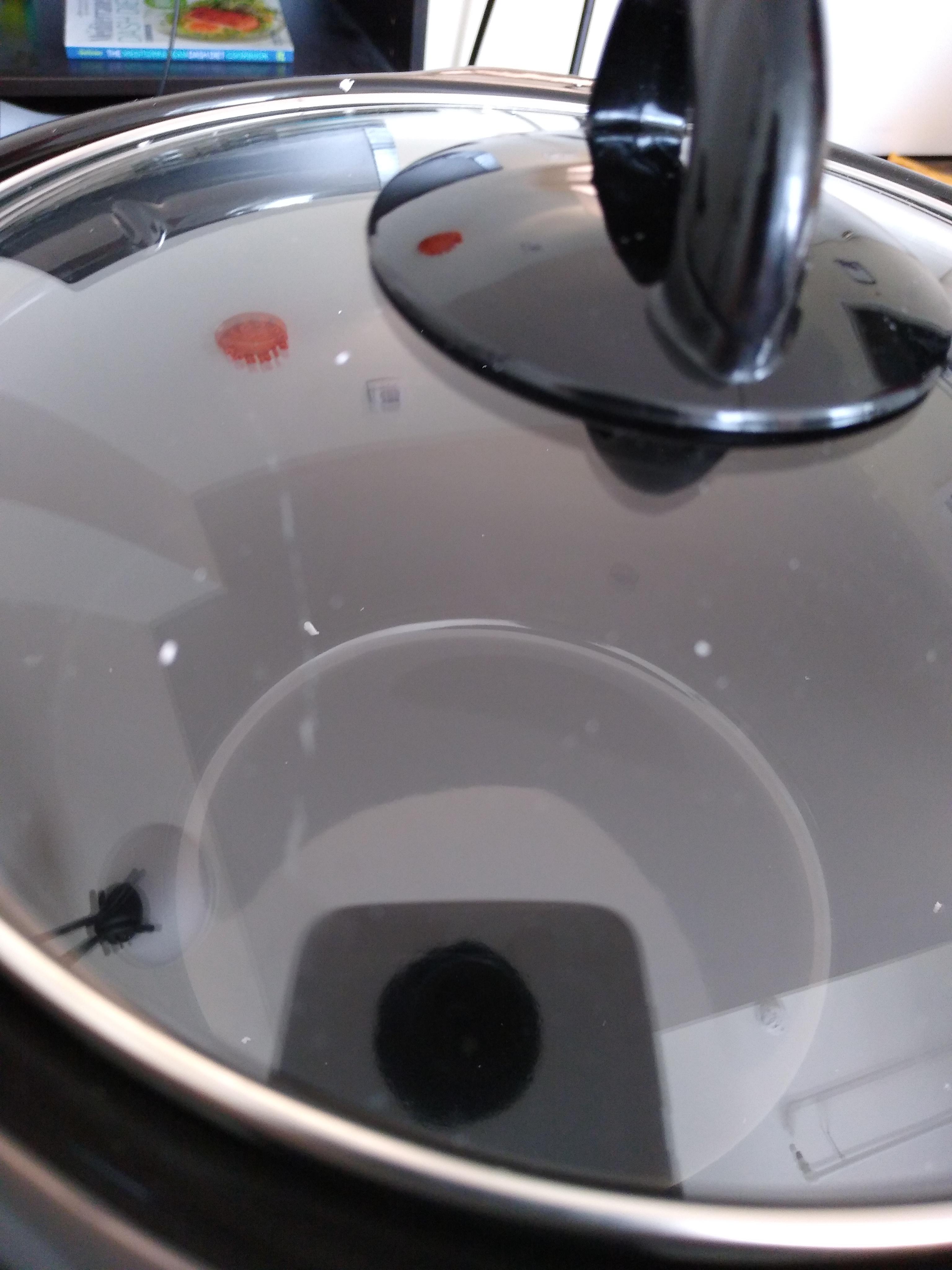 Crockpot Came With Scratched Lid,Would You Use? r/slowcooking